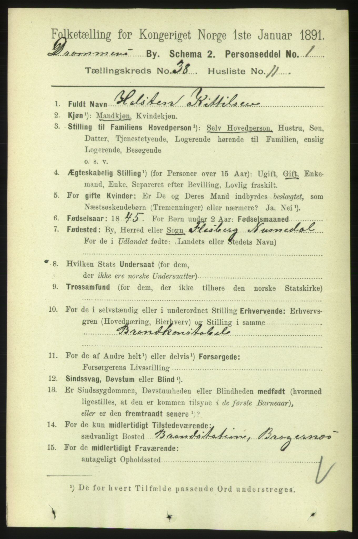 RA, 1891 census for 0602 Drammen, 1891, p. 23042