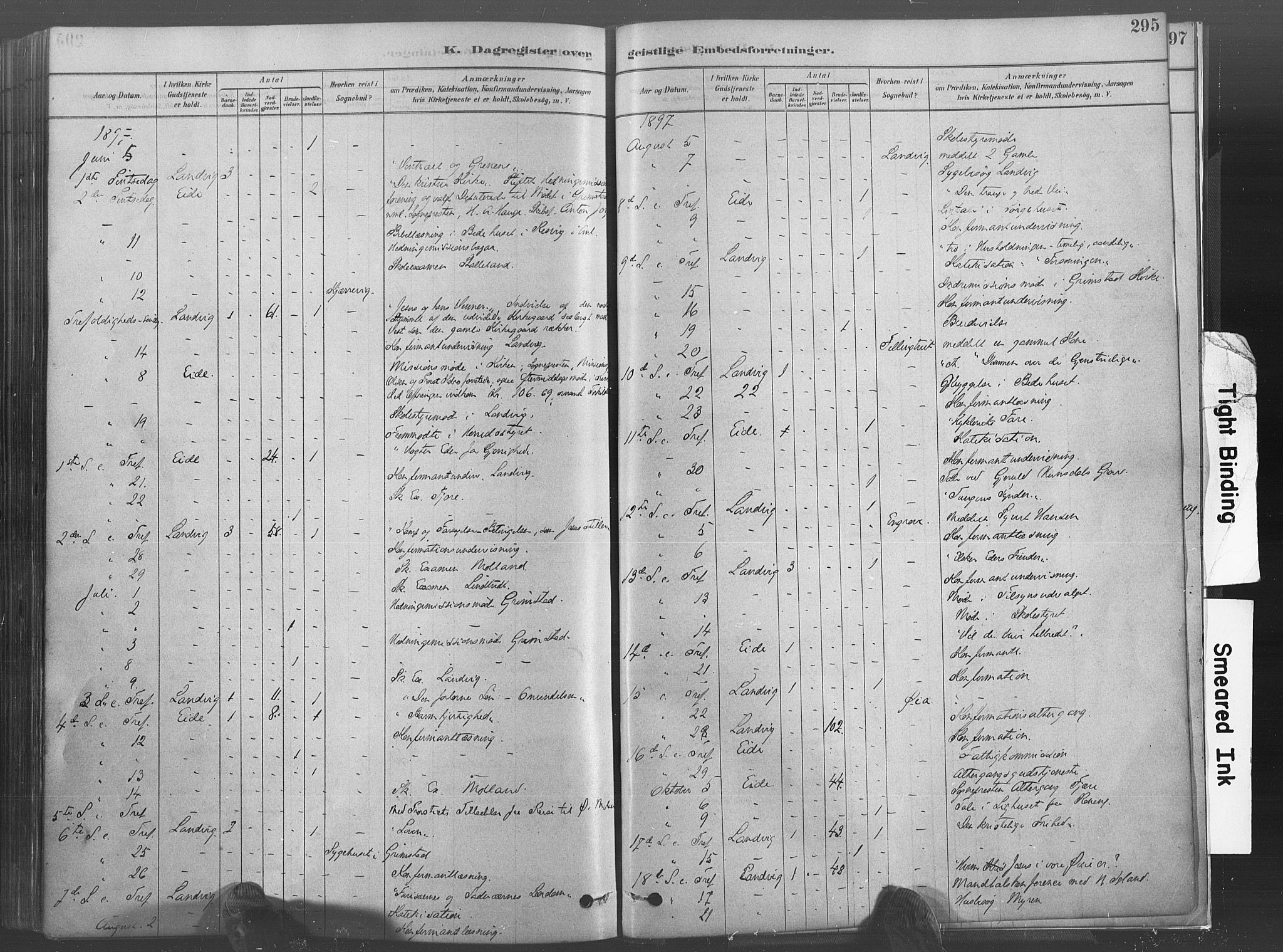 Hommedal sokneprestkontor, AV/SAK-1111-0023/F/Fa/Fab/L0006: Parish register (official) no. A 6, 1878-1897, p. 295