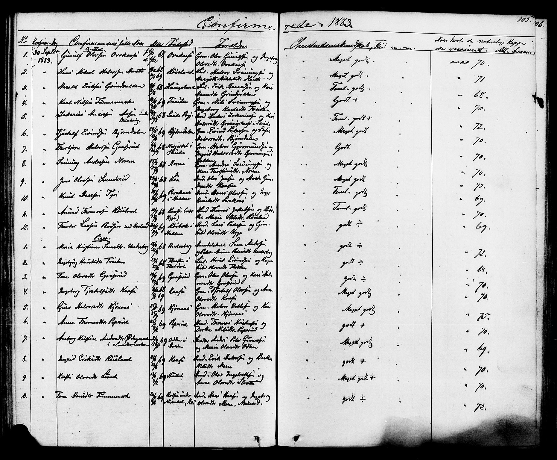 Lunde kirkebøker, SAKO/A-282/F/Fa/L0001: Parish register (official) no. I 1, 1866-1883, p. 105