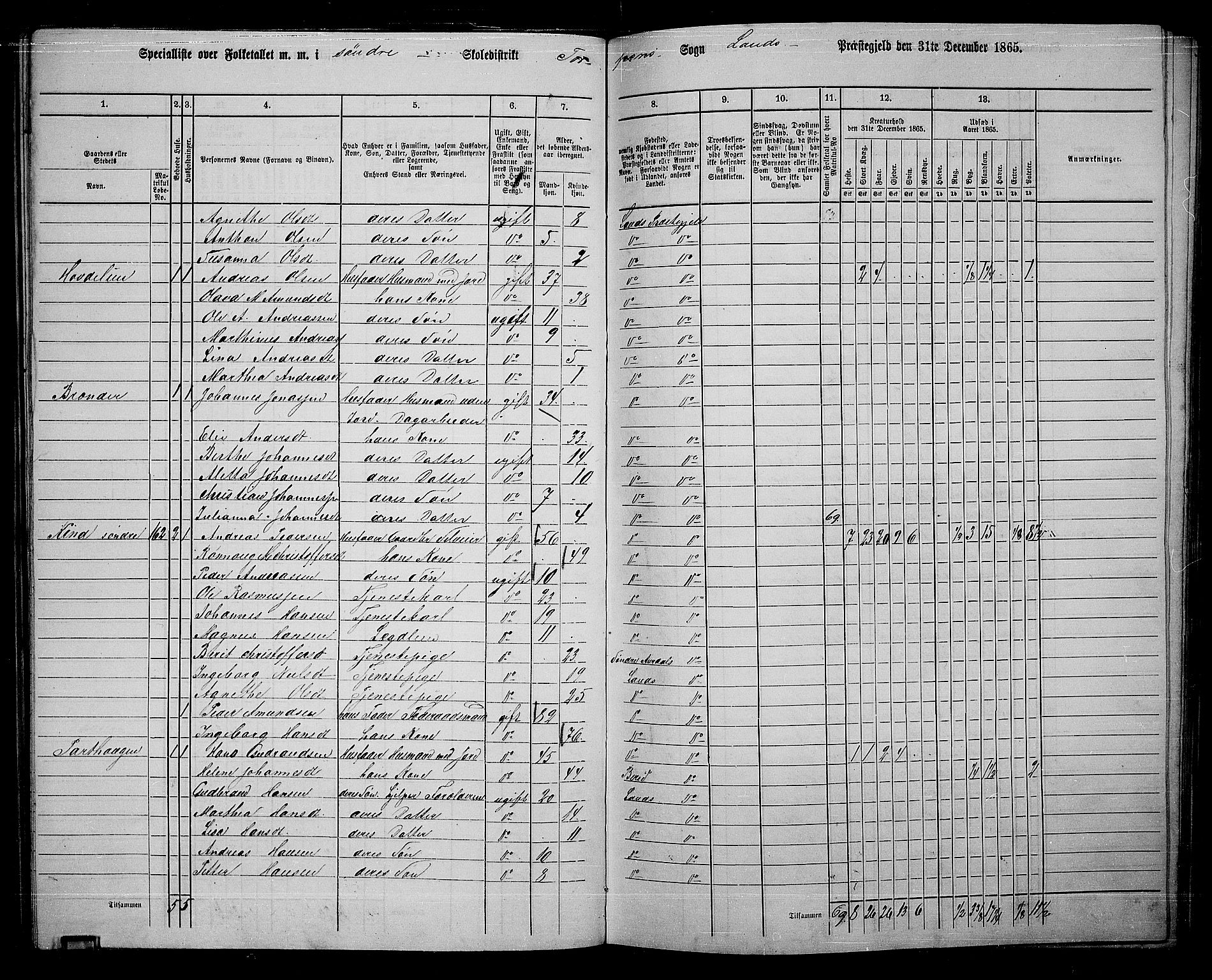 RA, 1865 census for Land, 1865, p. 115