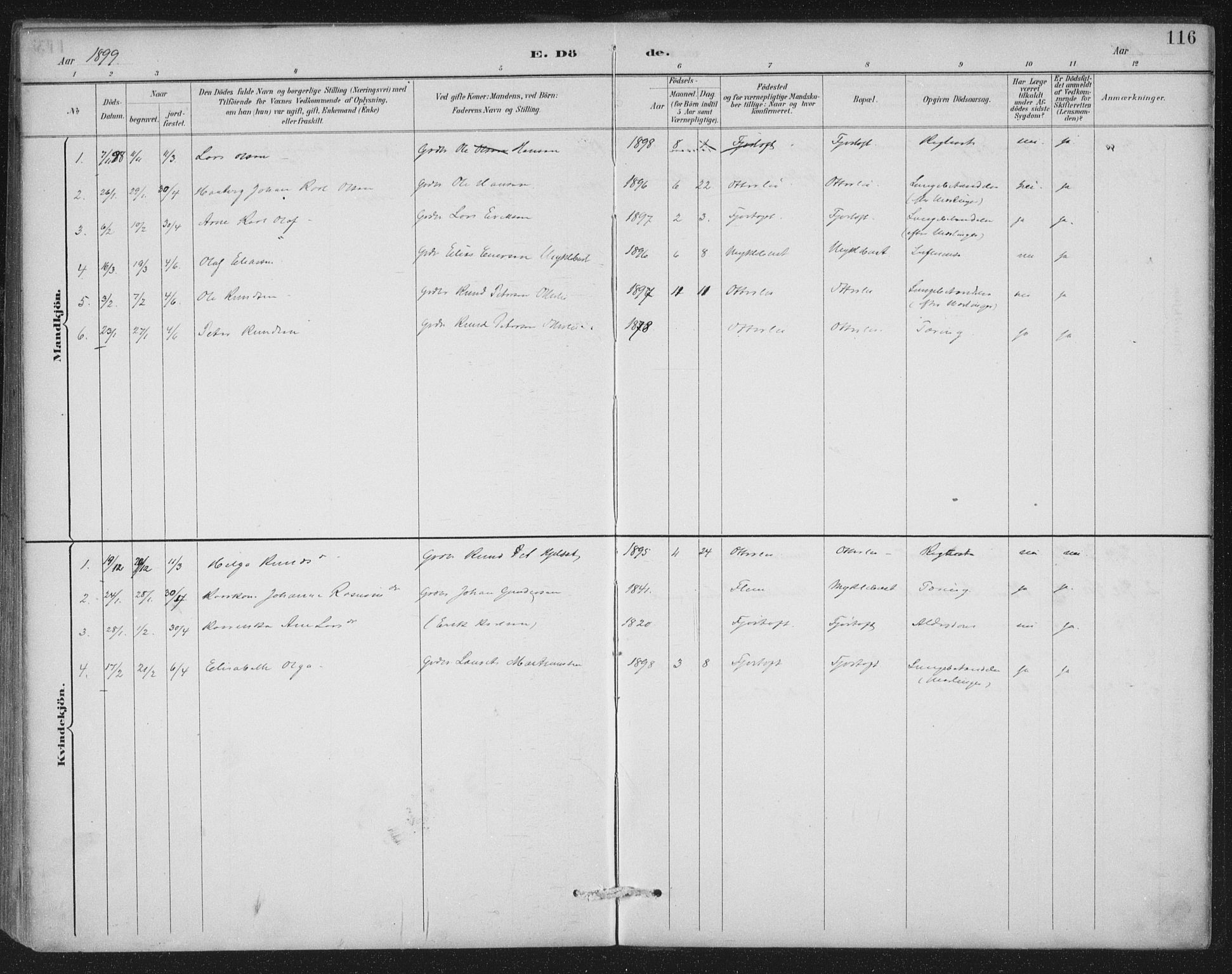 Ministerialprotokoller, klokkerbøker og fødselsregistre - Møre og Romsdal, SAT/A-1454/538/L0522: Parish register (official) no. 538A01, 1884-1913, p. 116