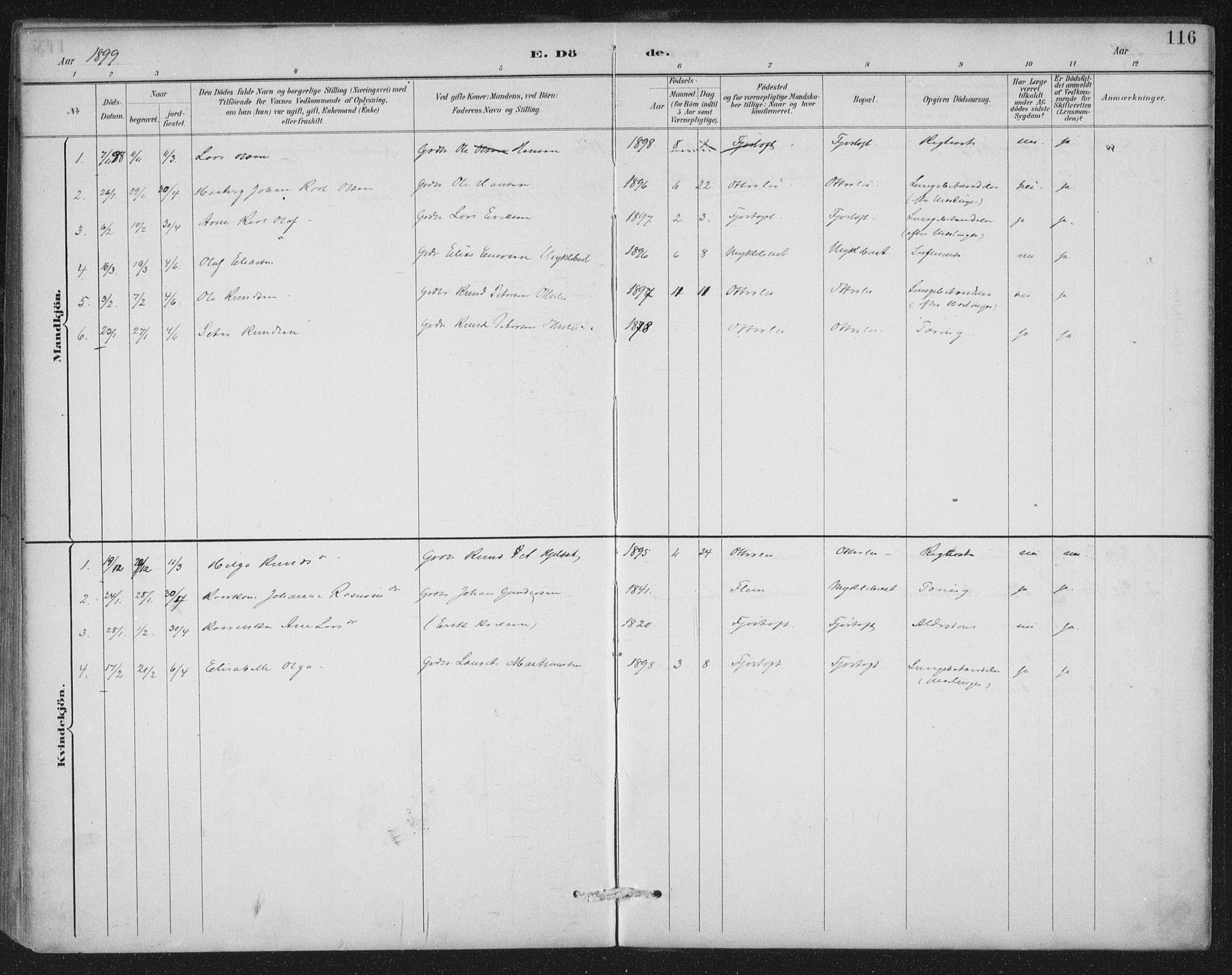 Ministerialprotokoller, klokkerbøker og fødselsregistre - Møre og Romsdal, AV/SAT-A-1454/538/L0522: Parish register (official) no. 538A01, 1884-1913, p. 116
