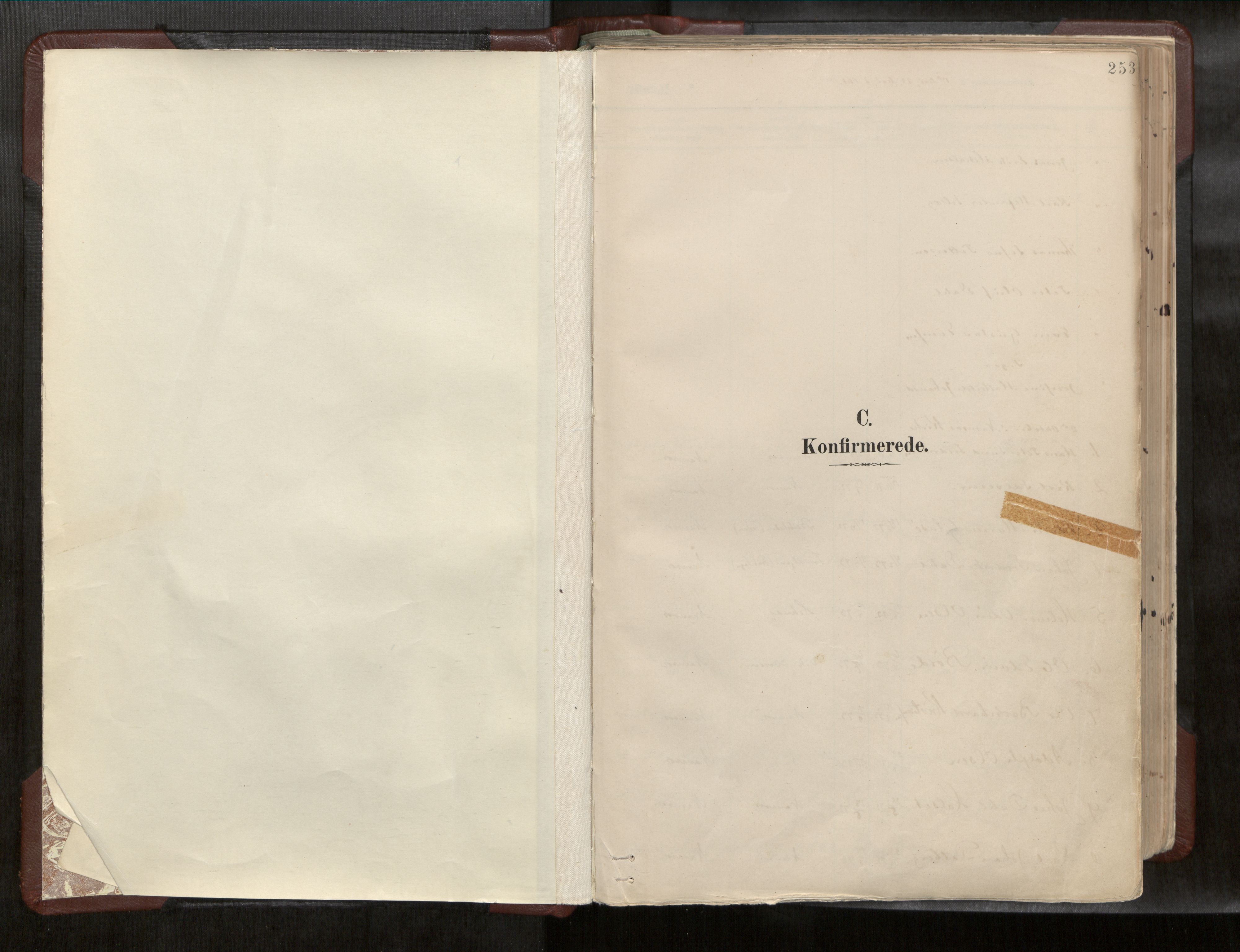 Ministerialprotokoller, klokkerbøker og fødselsregistre - Nord-Trøndelag, SAT/A-1458/768/L0579a: Parish register (official) no. 768A14, 1887-1931, p. 253