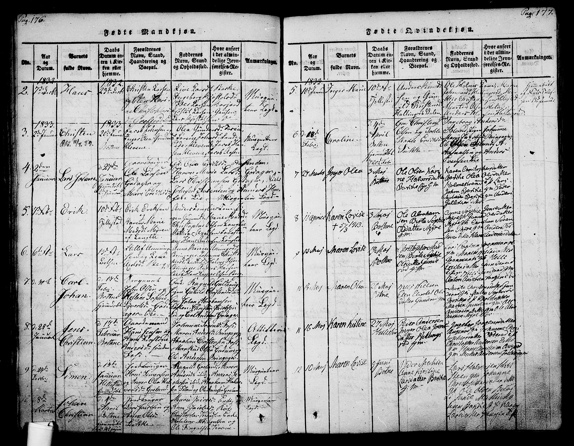 Botne kirkebøker, SAKO/A-340/F/Fa/L0005: Parish register (official) no. I 5, 1814-1836, p. 176-177