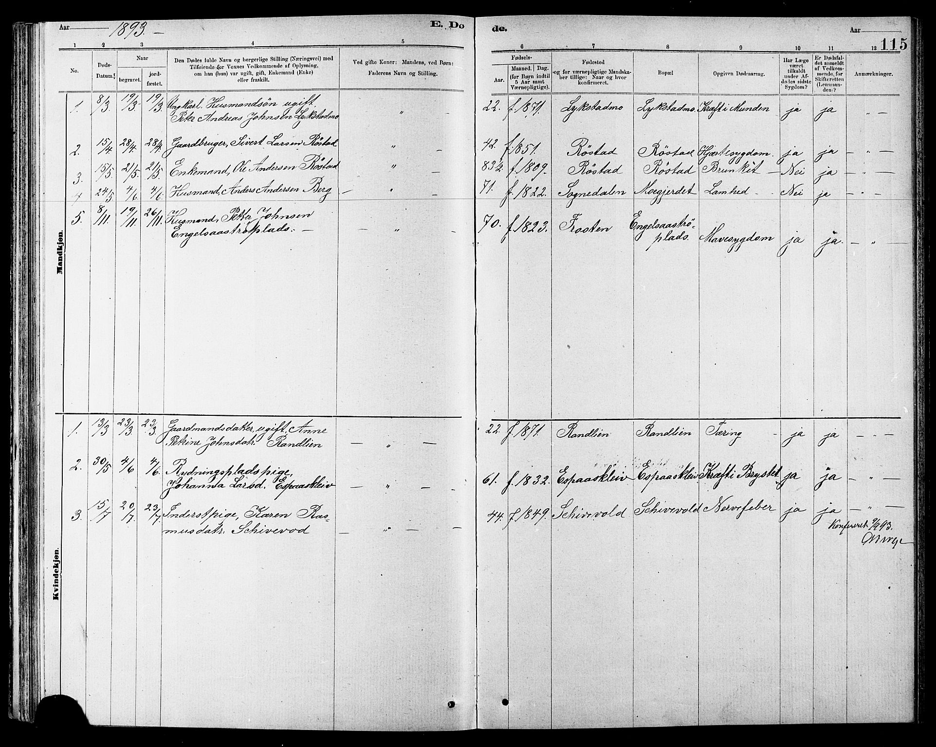 Ministerialprotokoller, klokkerbøker og fødselsregistre - Sør-Trøndelag, SAT/A-1456/608/L0341: Parish register (copy) no. 608C07, 1890-1912, p. 115