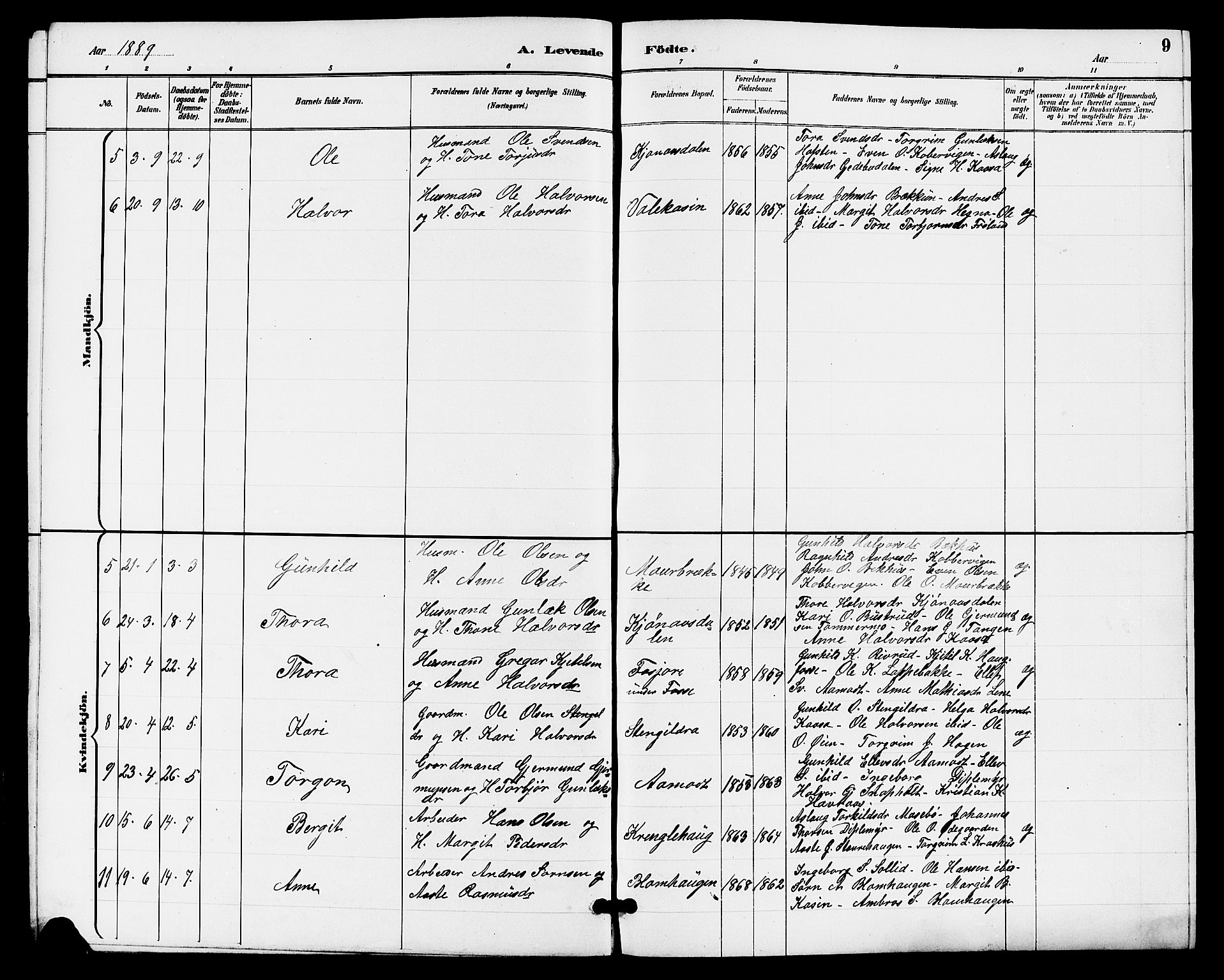 Hjartdal kirkebøker, SAKO/A-270/G/Gb/L0003: Parish register (copy) no. II 3, 1884-1899, p. 9