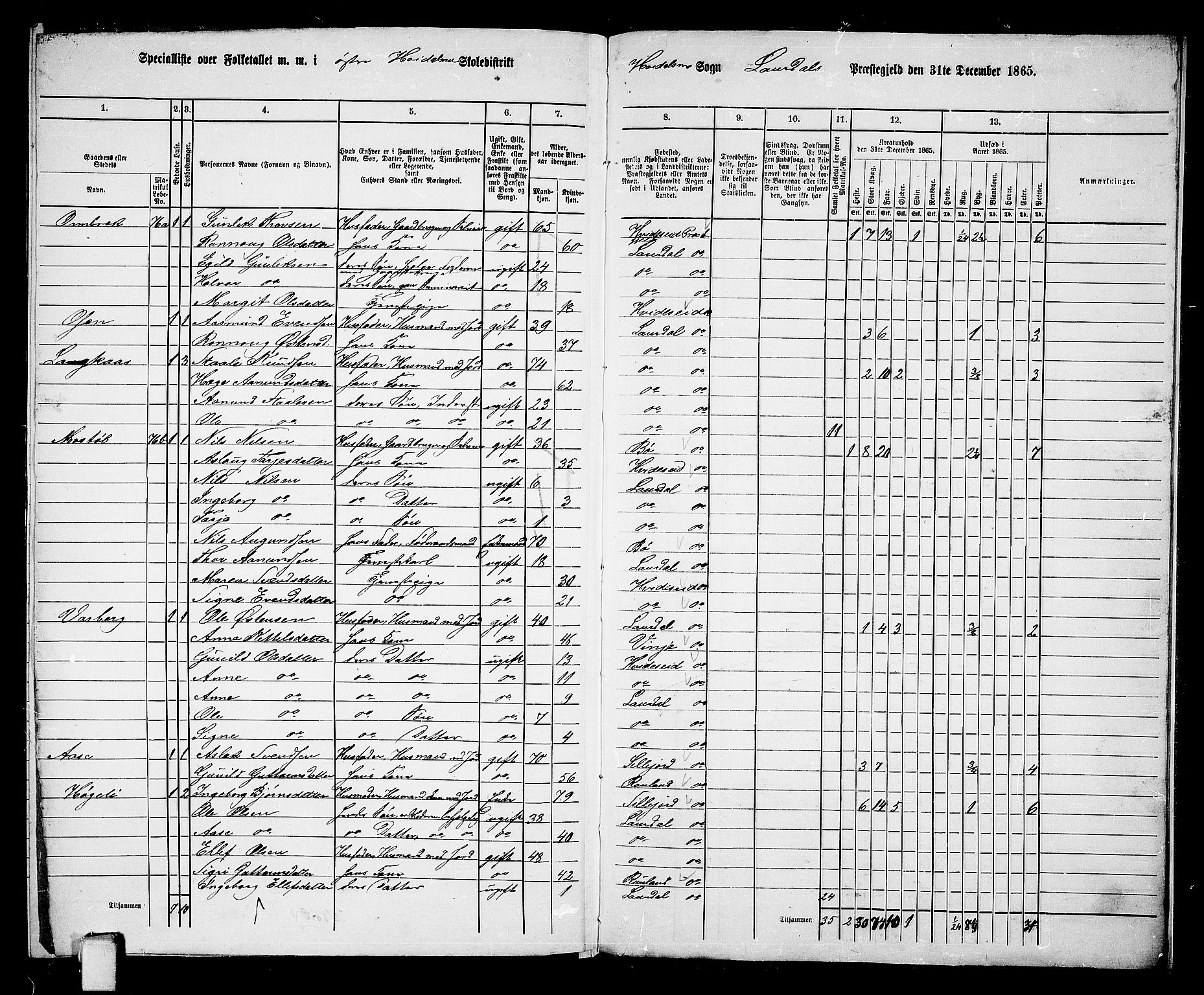 RA, 1865 census for Lårdal, 1865, p. 58