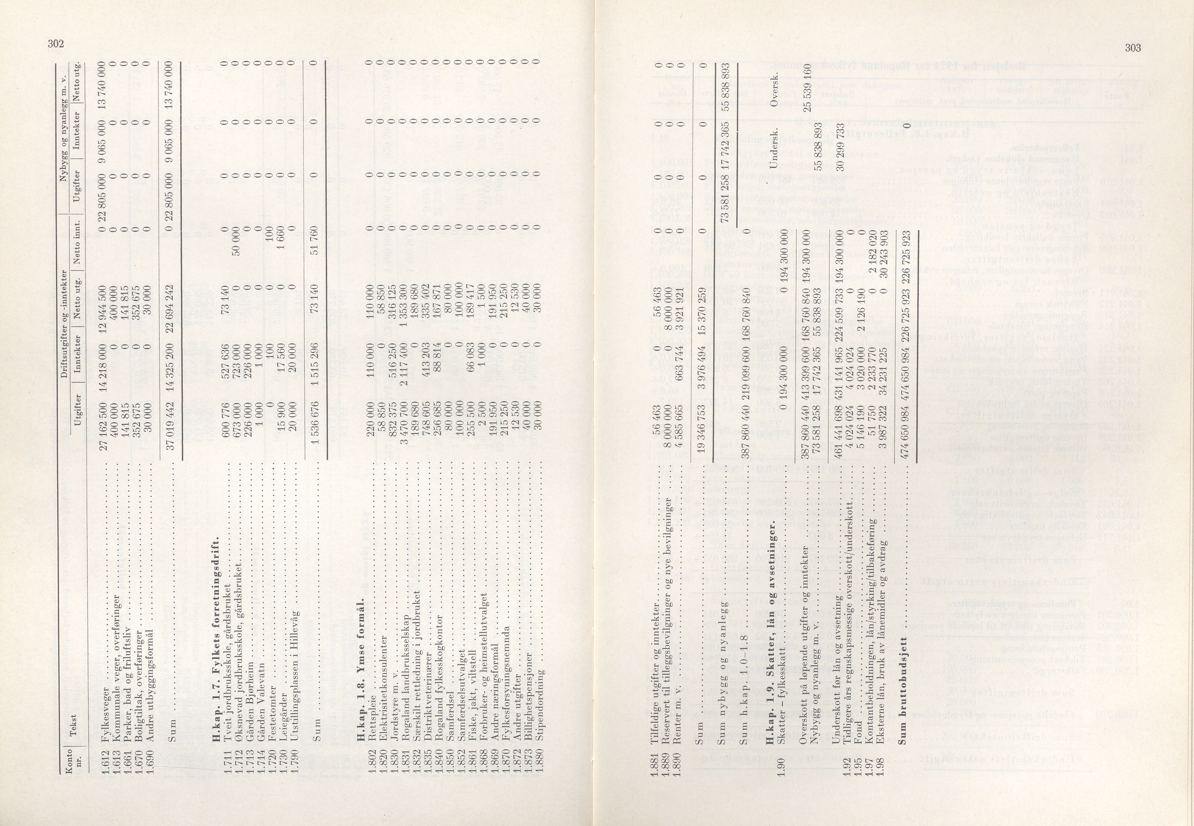 Rogaland fylkeskommune - Fylkesrådmannen , IKAR/A-900/A/Aa/Aaa/L0093: Møtebok , 1973, p. 302-303