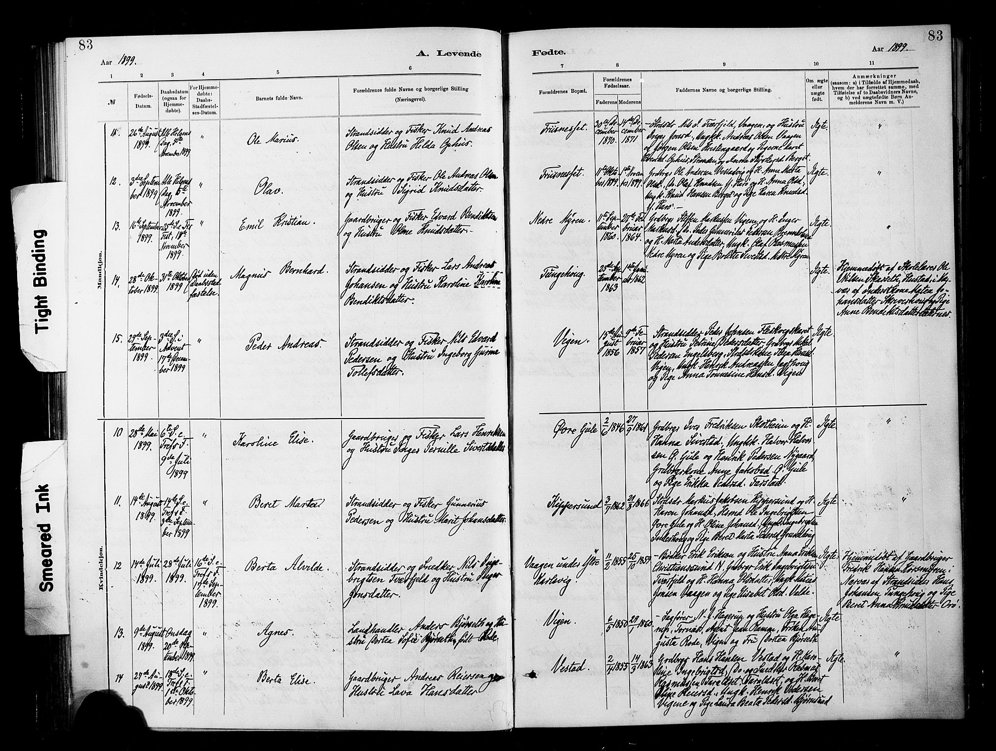 Ministerialprotokoller, klokkerbøker og fødselsregistre - Møre og Romsdal, SAT/A-1454/566/L0769: Parish register (official) no. 566A08, 1881-1903, p. 83