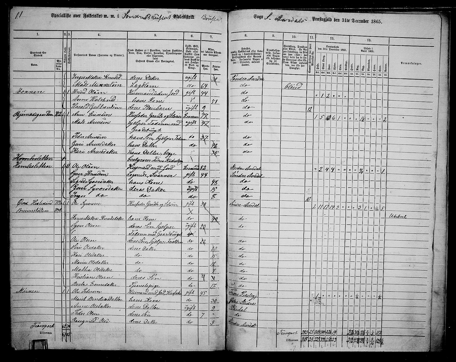 RA, 1865 census for Sør-Aurdal, 1865, p. 246