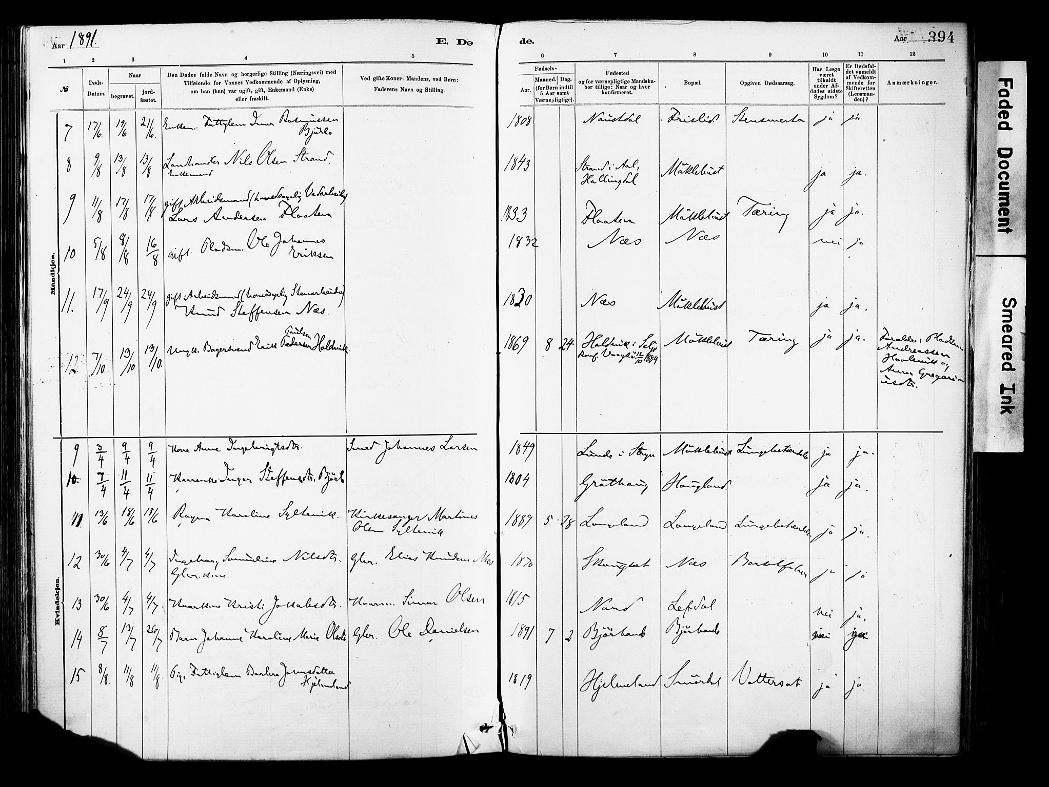 Eid sokneprestembete, AV/SAB-A-82301/H/Haa/Haab/L0001: Parish register (official) no. B 1, 1879-1906, p. 394