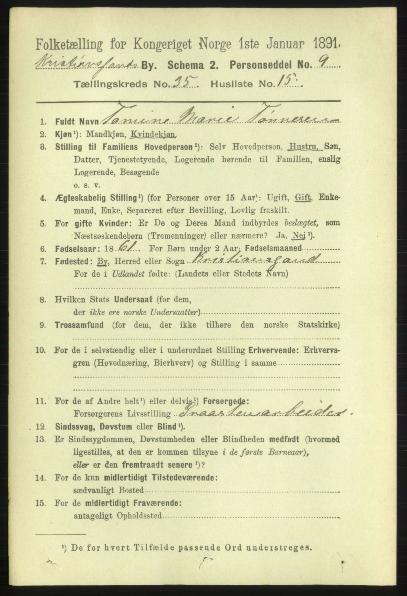 RA, 1891 census for 1001 Kristiansand, 1891, p. 11217