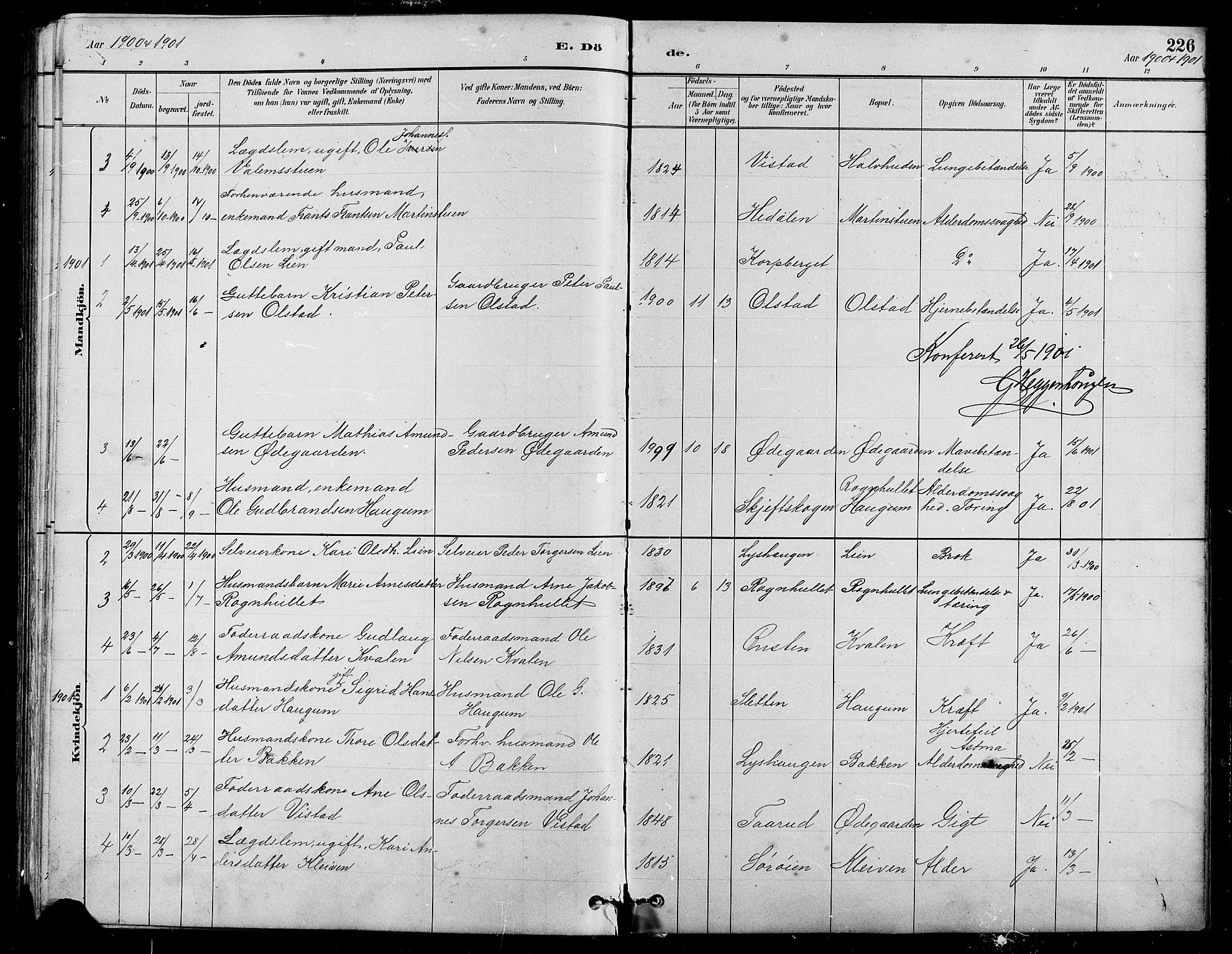 Nord-Fron prestekontor, SAH/PREST-080/H/Ha/Hab/L0005: Parish register (copy) no. 5, 1884-1914, p. 226
