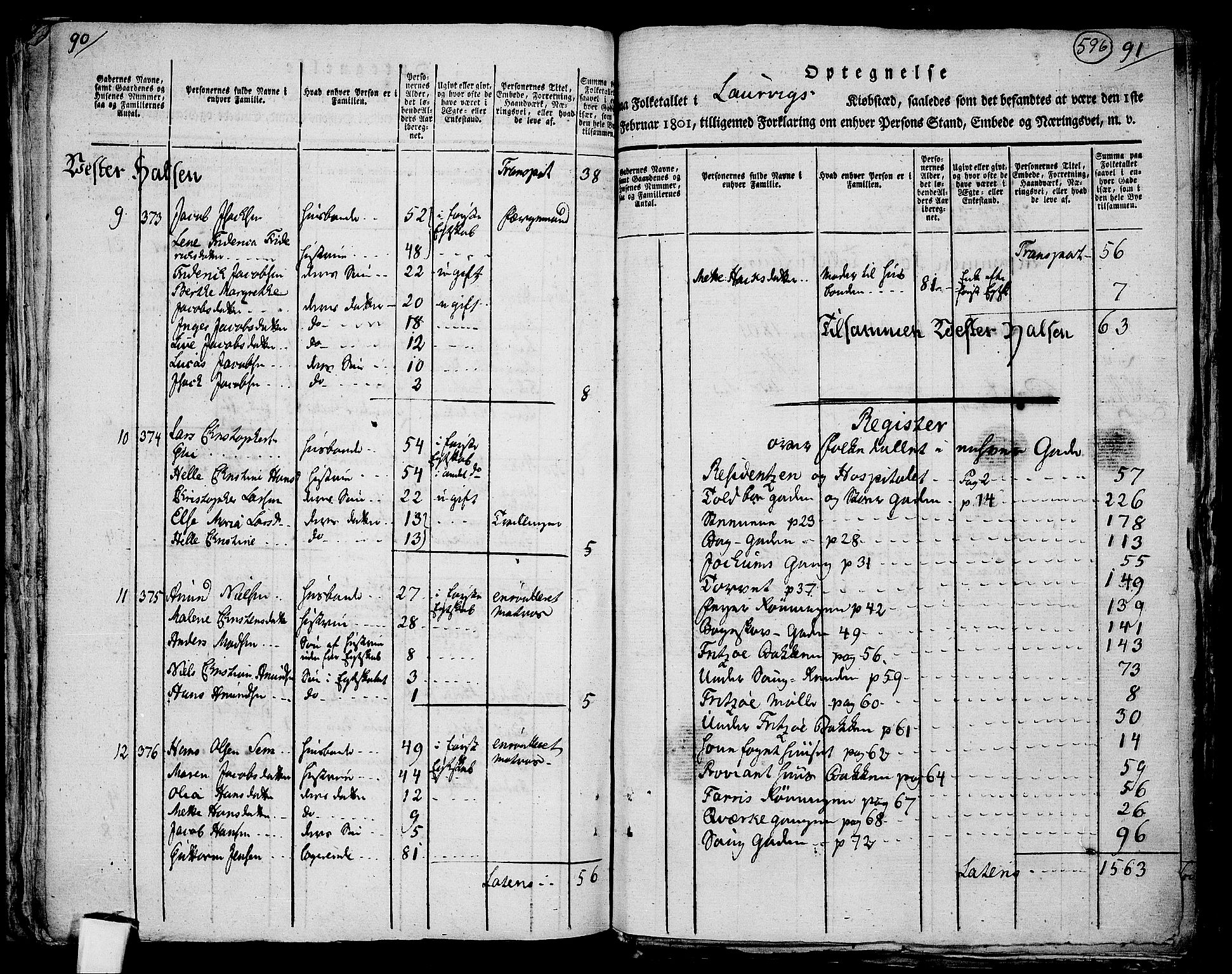 RA, 1801 census for 0707P Larvik, 1801, p. 595b-596a