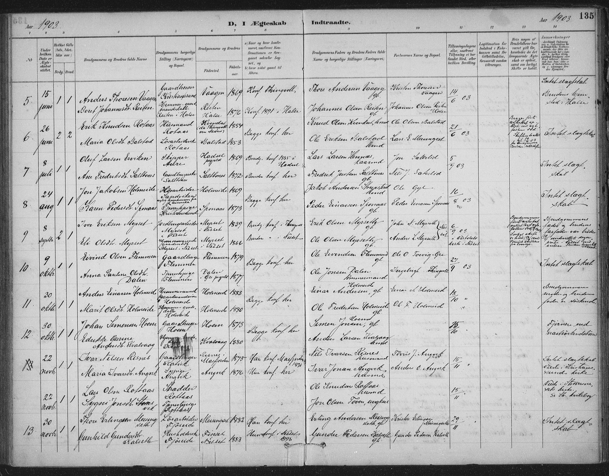 Ministerialprotokoller, klokkerbøker og fødselsregistre - Møre og Romsdal, AV/SAT-A-1454/586/L0988: Parish register (official) no. 586A14, 1893-1905, p. 135