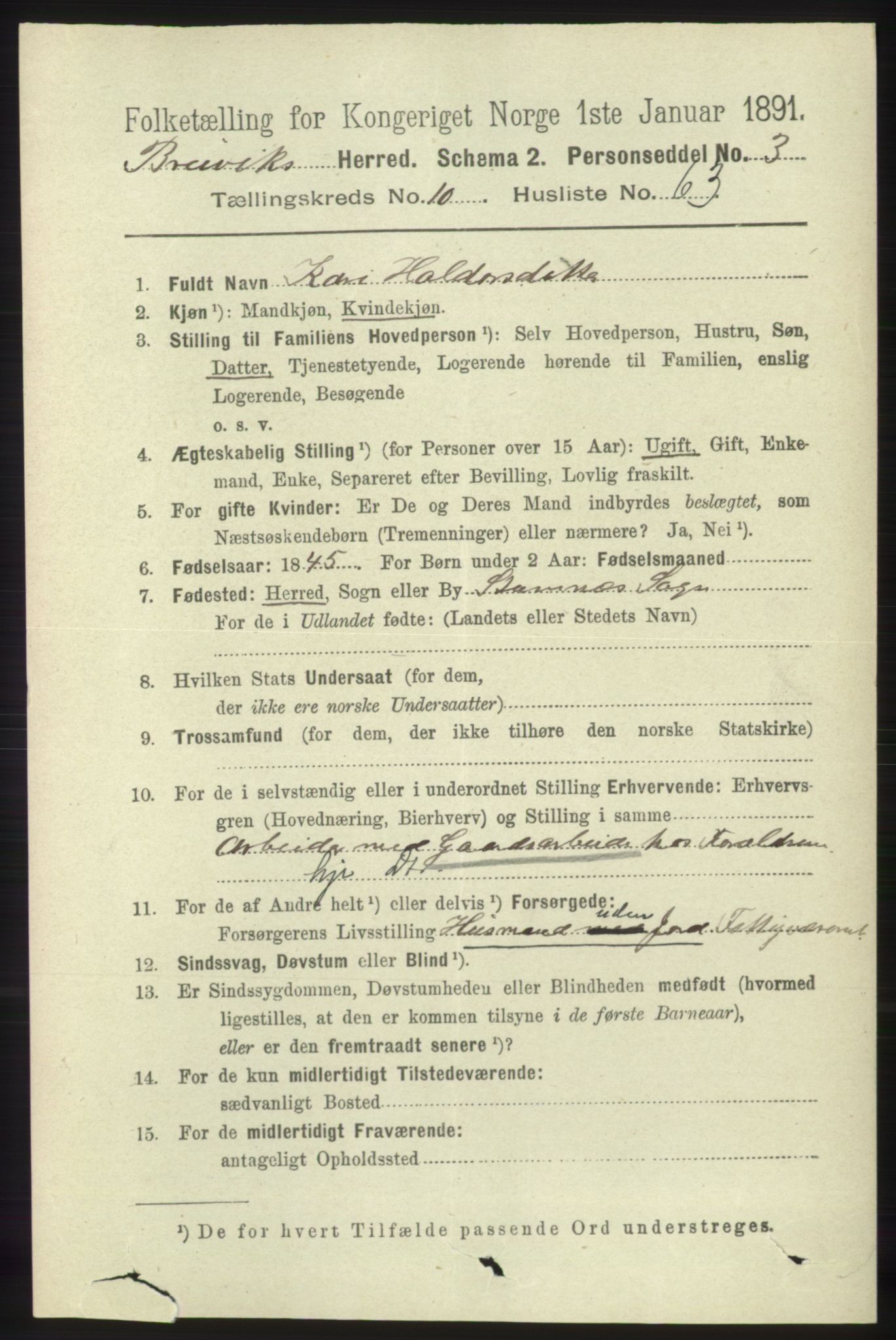 RA, 1891 census for 1251 Bruvik, 1891, p. 4140