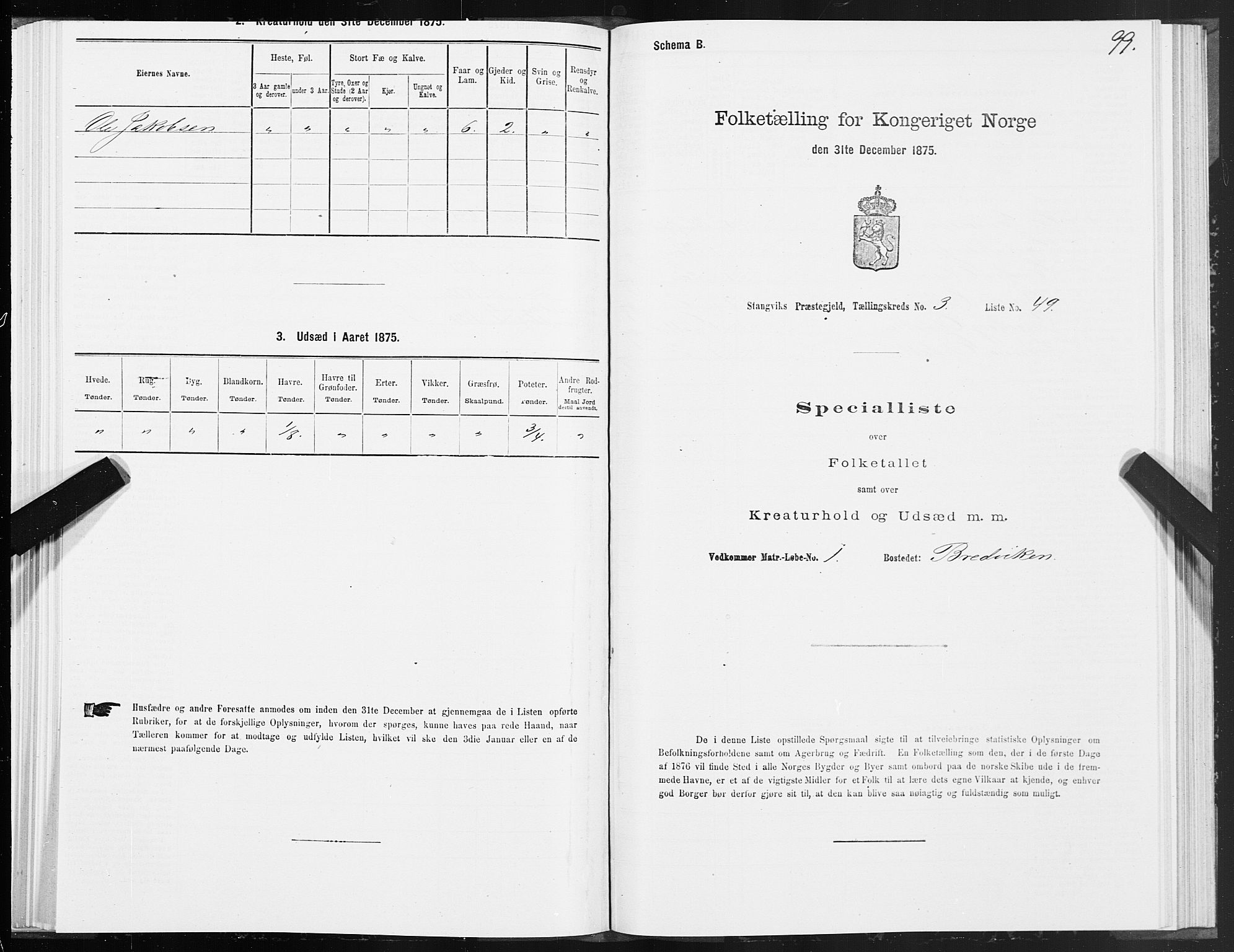 SAT, 1875 census for 1564P Stangvik, 1875, p. 2099