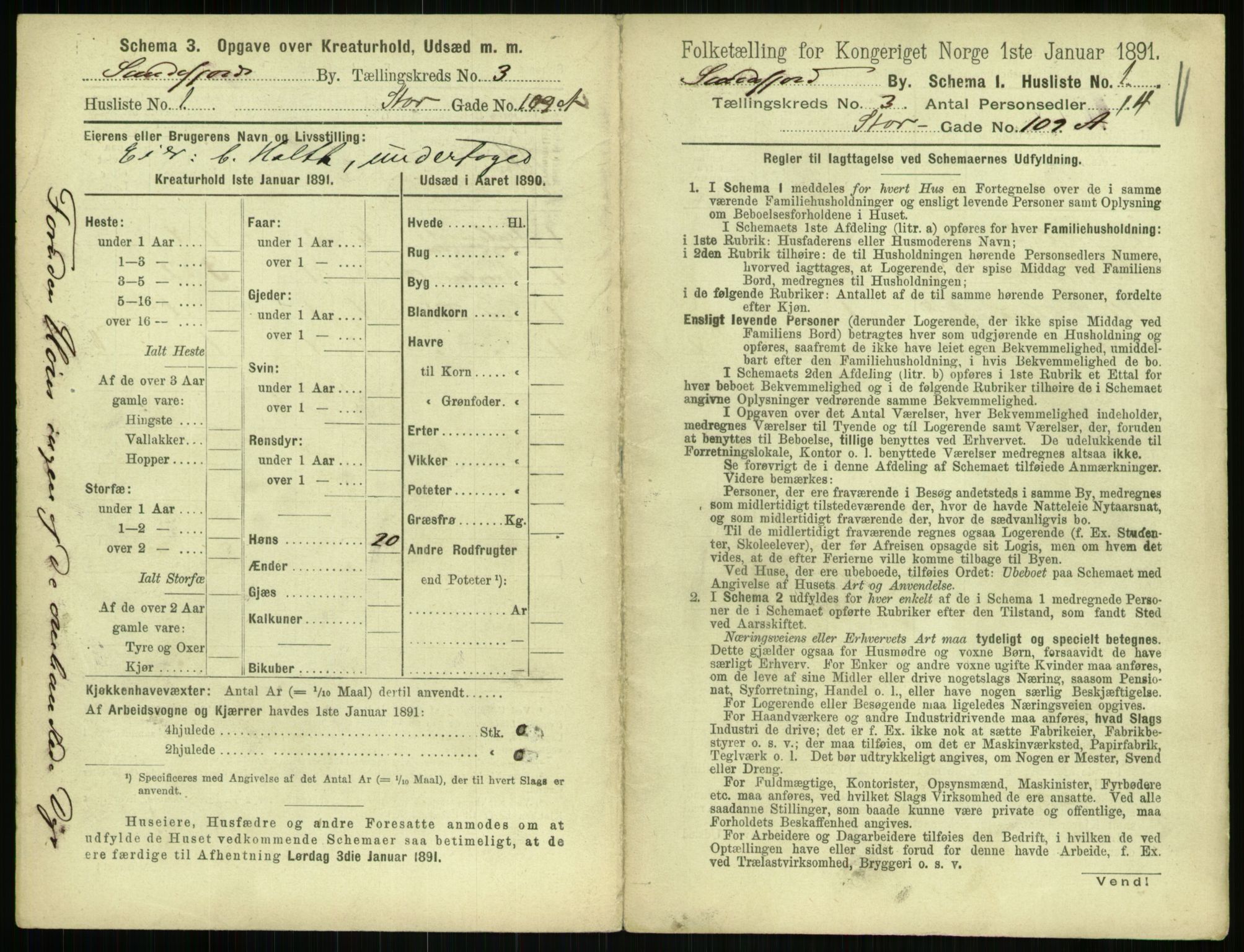 RA, 1891 census for 0706 Sandefjord, 1891, p. 255