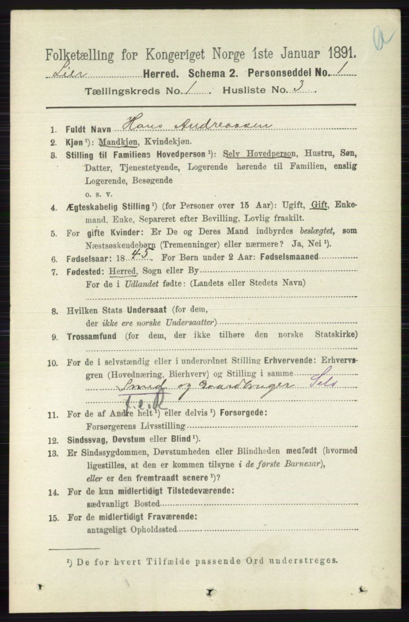 RA, 1891 census for 0626 Lier, 1891, p. 191