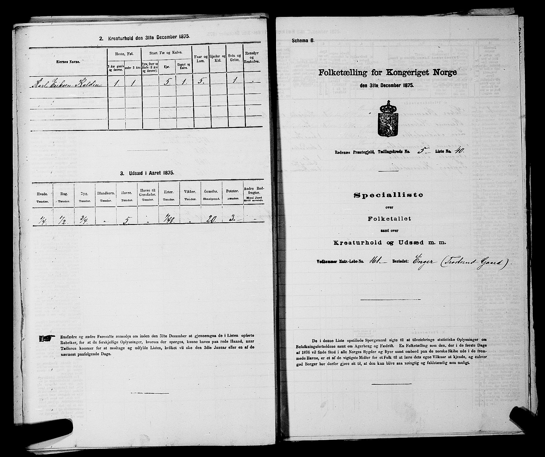RA, 1875 census for 0120P Rødenes, 1875, p. 790