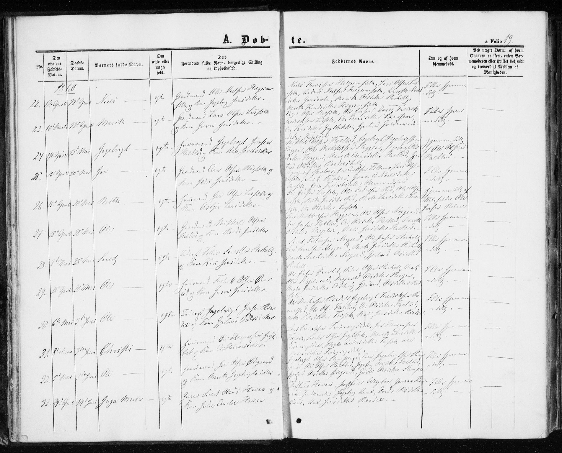 Ministerialprotokoller, klokkerbøker og fødselsregistre - Møre og Romsdal, AV/SAT-A-1454/598/L1067: Parish register (official) no. 598A01, 1858-1871, p. 19
