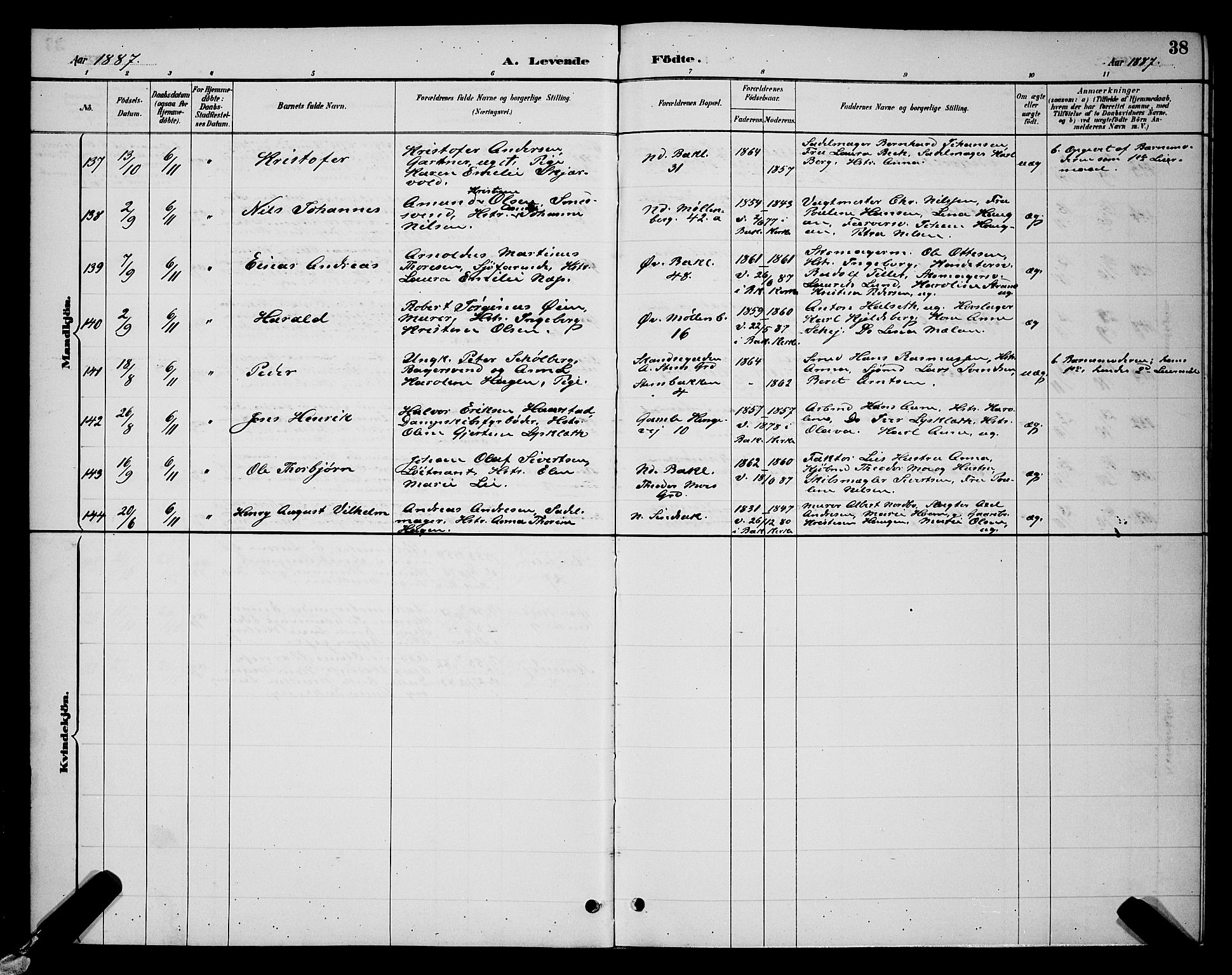 Ministerialprotokoller, klokkerbøker og fødselsregistre - Sør-Trøndelag, SAT/A-1456/604/L0222: Parish register (copy) no. 604C05, 1886-1895, p. 38