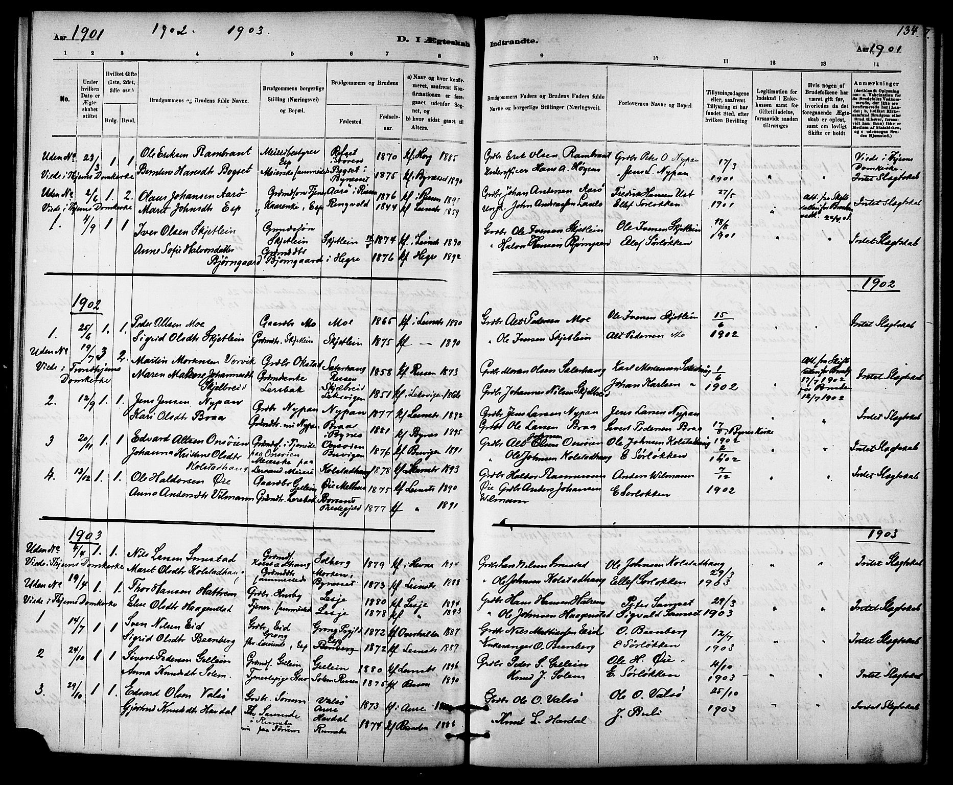 Ministerialprotokoller, klokkerbøker og fødselsregistre - Sør-Trøndelag, SAT/A-1456/613/L0395: Parish register (copy) no. 613C03, 1887-1909, p. 134