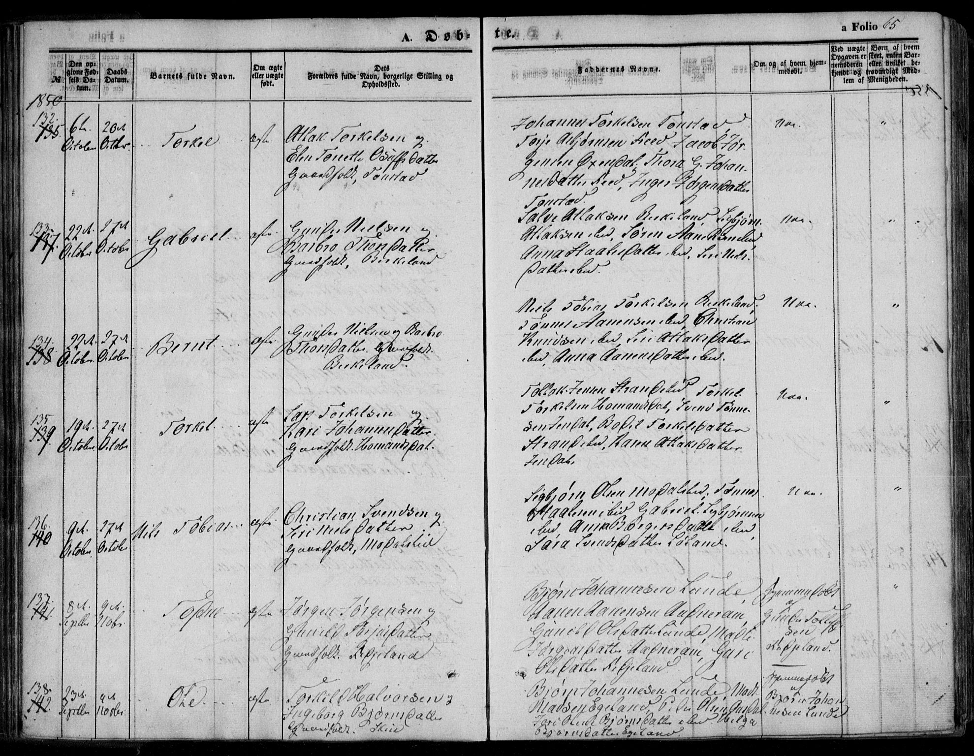 Bakke sokneprestkontor, AV/SAK-1111-0002/F/Fa/Faa/L0005: Parish register (official) no. A 5, 1847-1855, p. 65