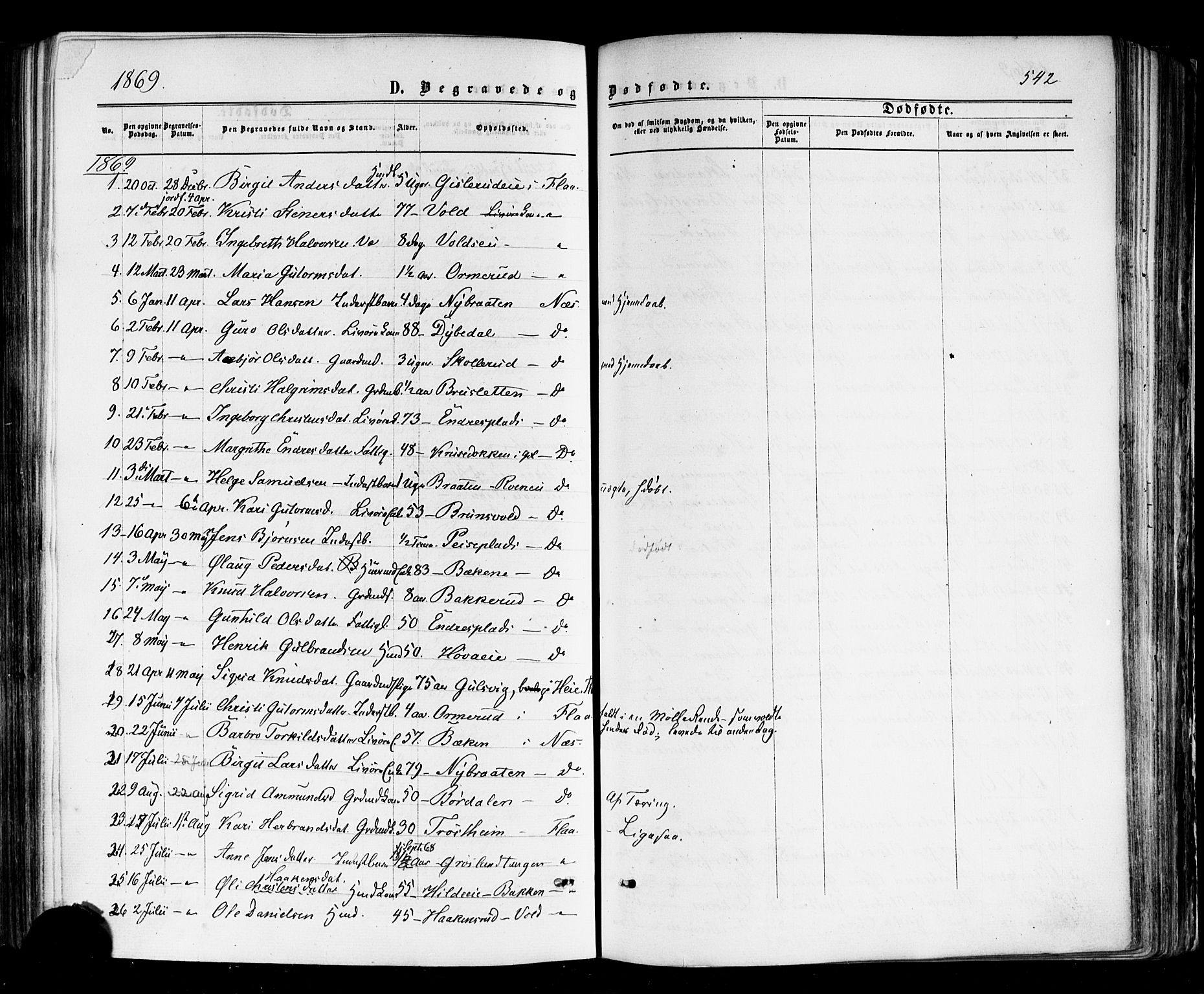 Nes kirkebøker, SAKO/A-236/F/Fa/L0010: Parish register (official) no. 10, 1864-1880, p. 542
