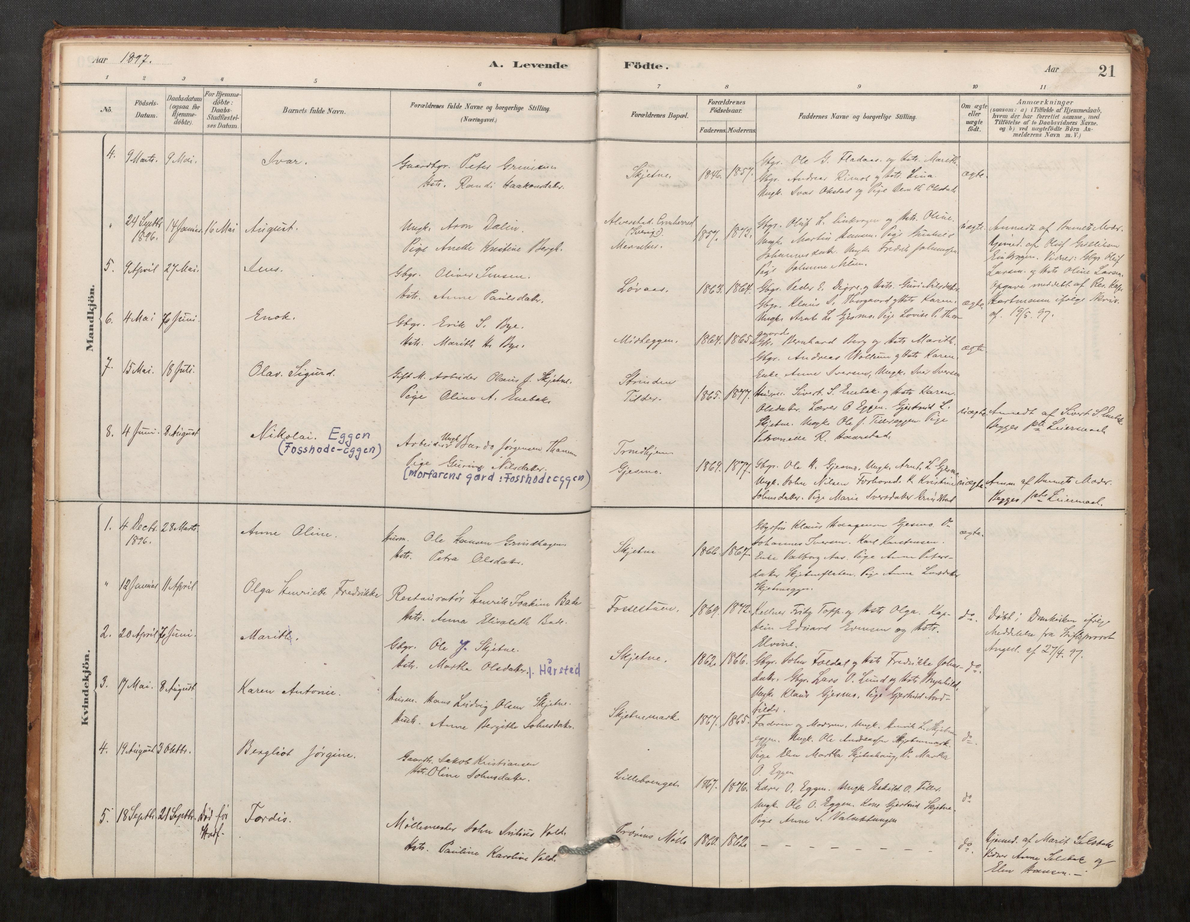 Klæbu sokneprestkontor, SAT/A-1112: Parish register (official) no. 1, 1880-1900, p. 21