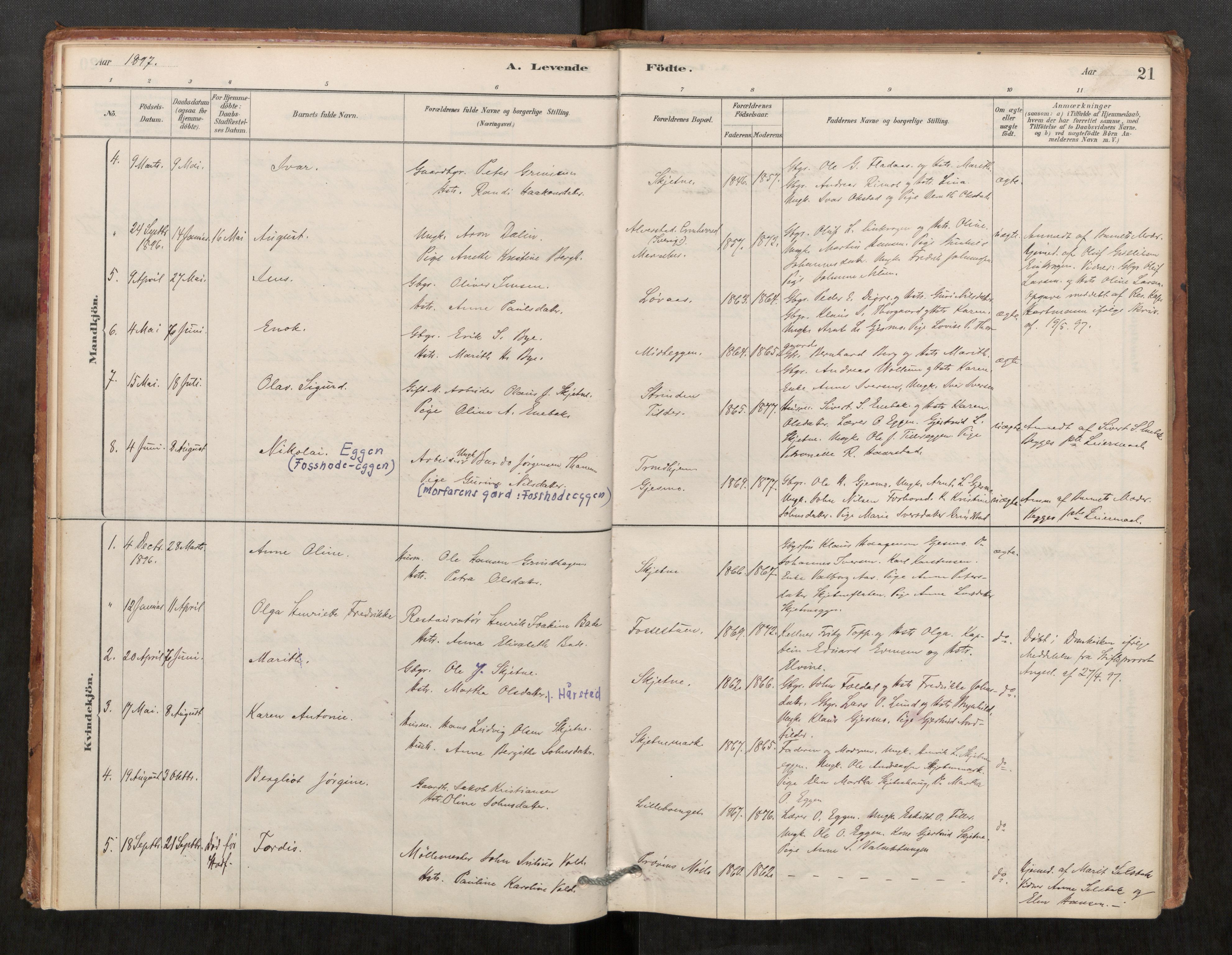 Klæbu sokneprestkontor, AV/SAT-A-1112: Parish register (official) no. 1, 1880-1900, p. 21