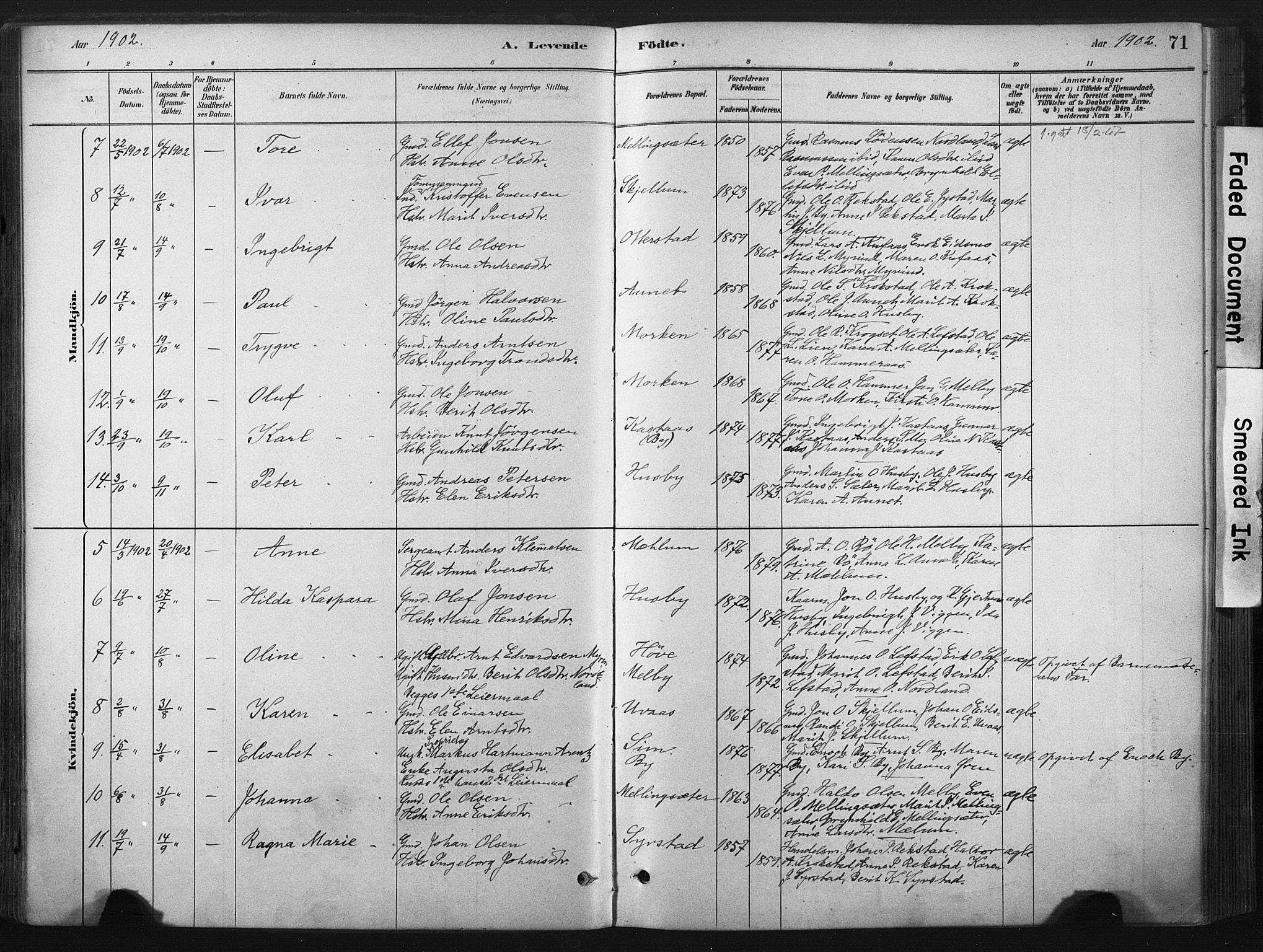 Ministerialprotokoller, klokkerbøker og fødselsregistre - Sør-Trøndelag, SAT/A-1456/667/L0795: Parish register (official) no. 667A03, 1879-1907, p. 71