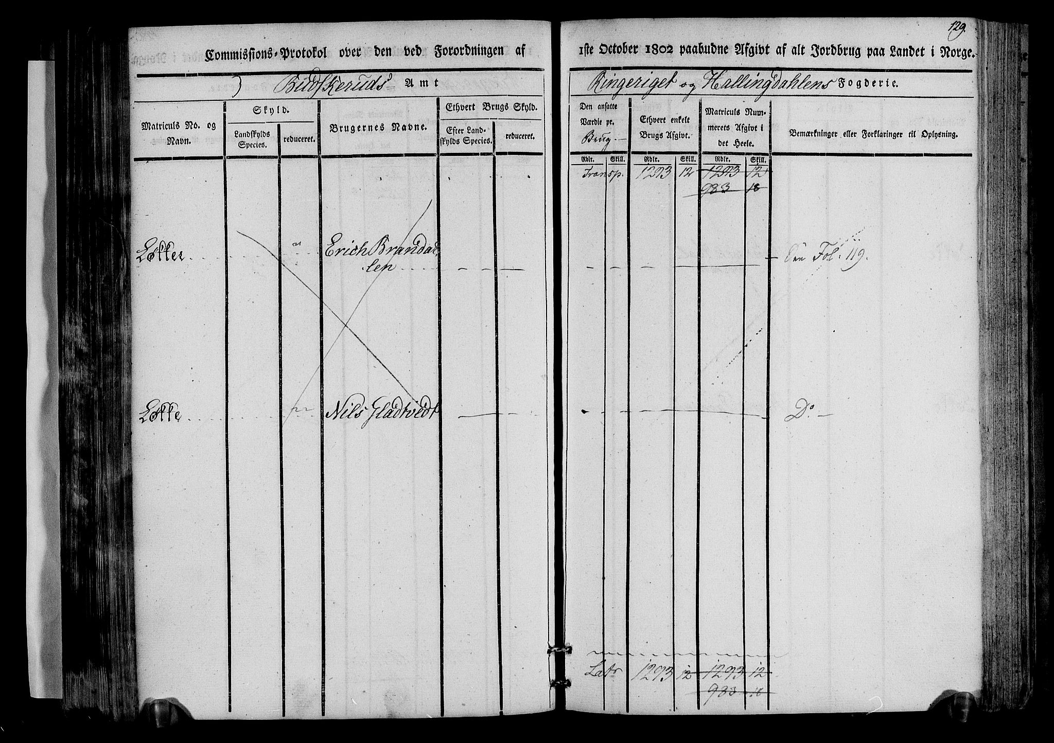 Rentekammeret inntil 1814, Realistisk ordnet avdeling, AV/RA-EA-4070/N/Ne/Nea/L0045: Ringerike og Hallingdal fogderi. Kommisjonsprotokoll for Norderhov prestegjeld, 1803, p. 132