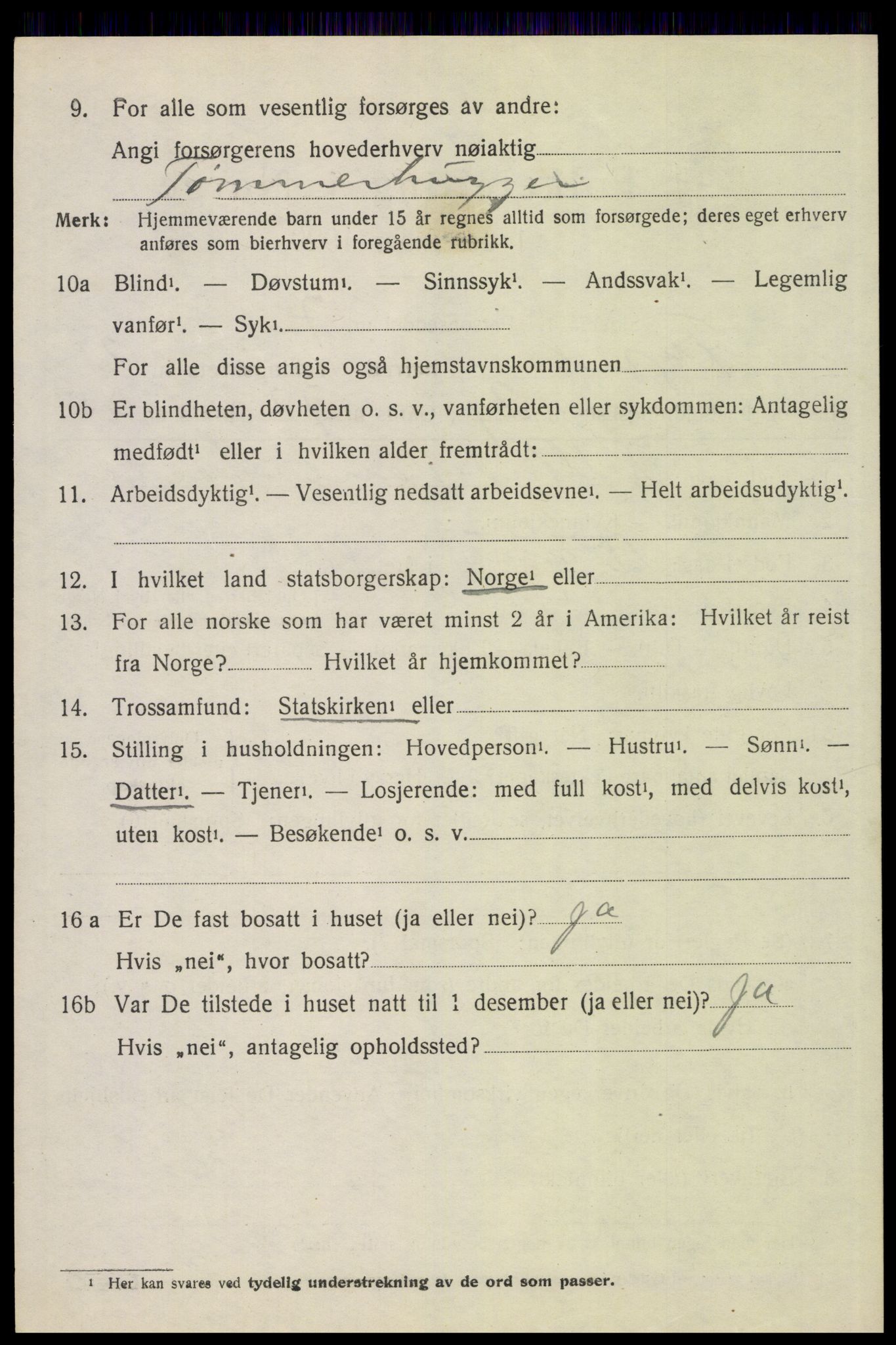 SAH, 1920 census for Trysil, 1920, p. 14102