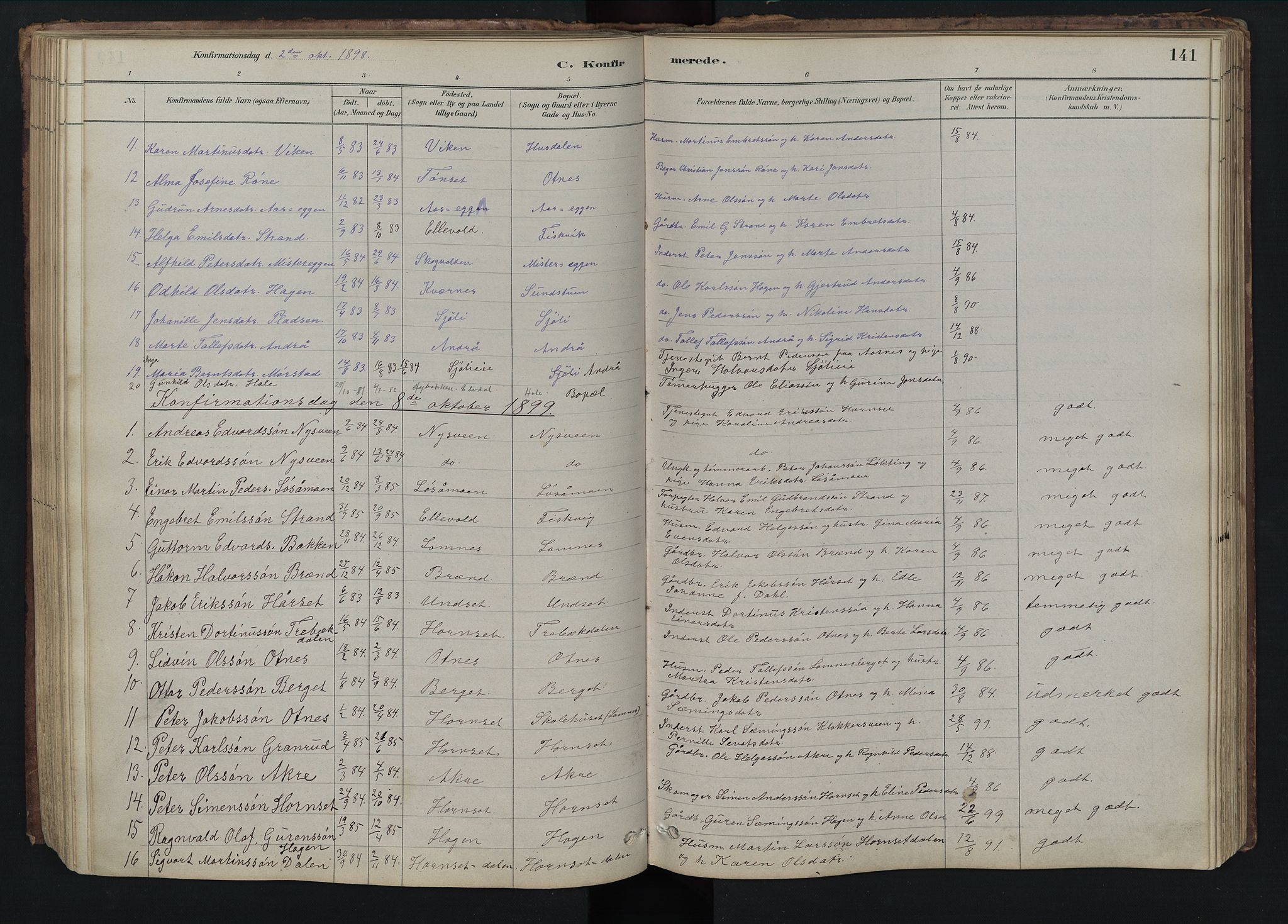Rendalen prestekontor, SAH/PREST-054/H/Ha/Hab/L0009: Parish register (copy) no. 9, 1879-1902, p. 141