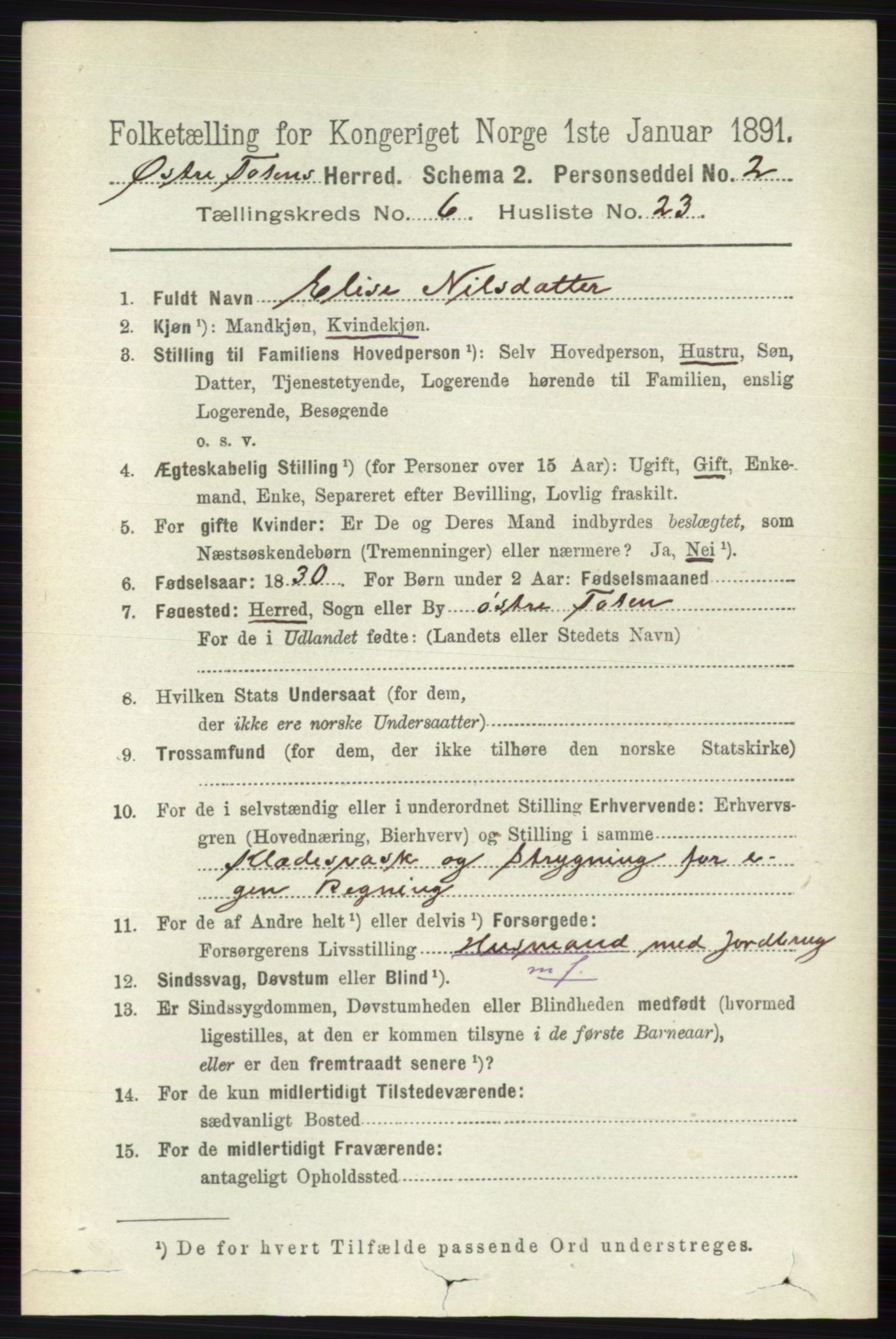 RA, 1891 census for 0528 Østre Toten, 1891, p. 3905