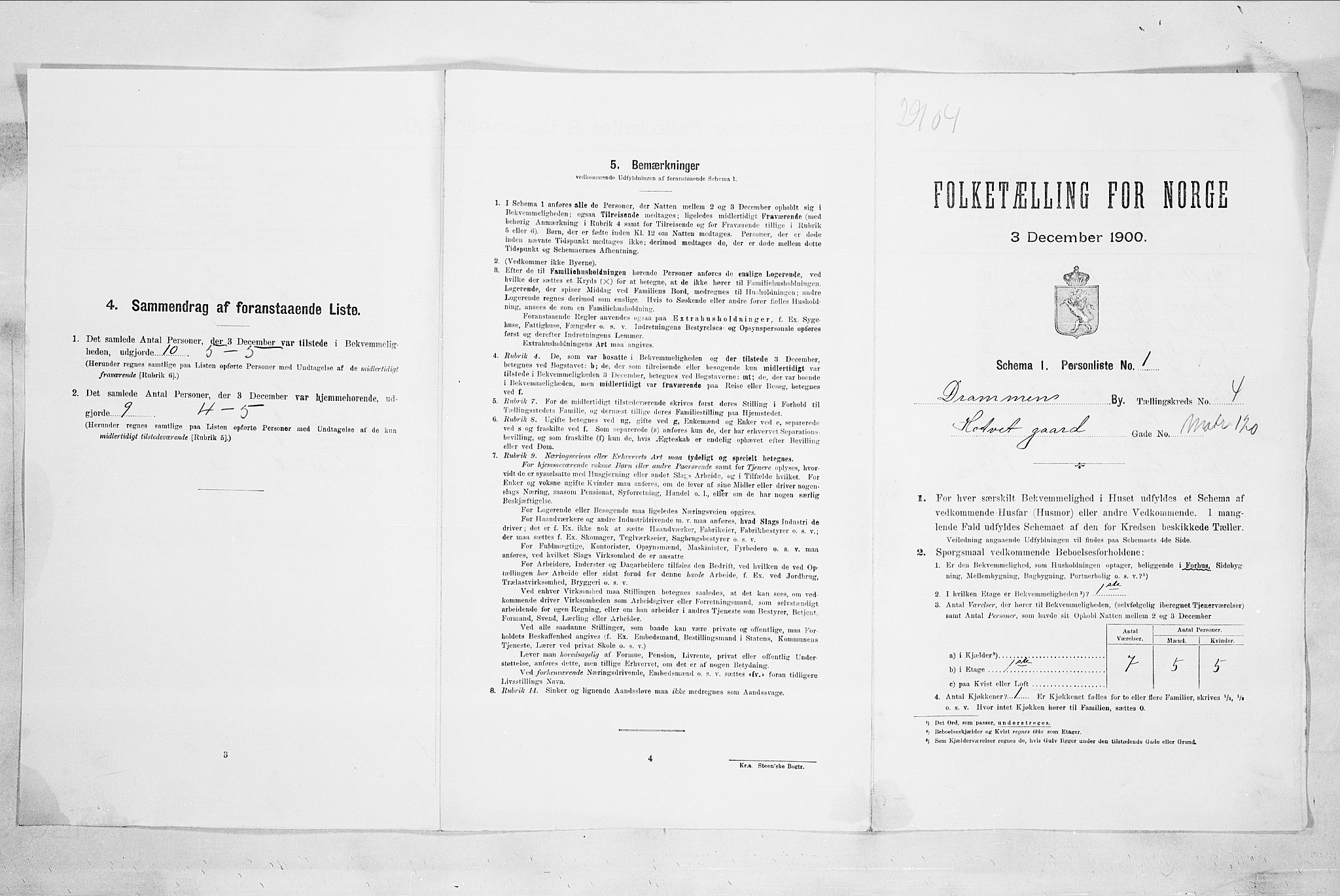 RA, 1900 census for Drammen, 1900, p. 954