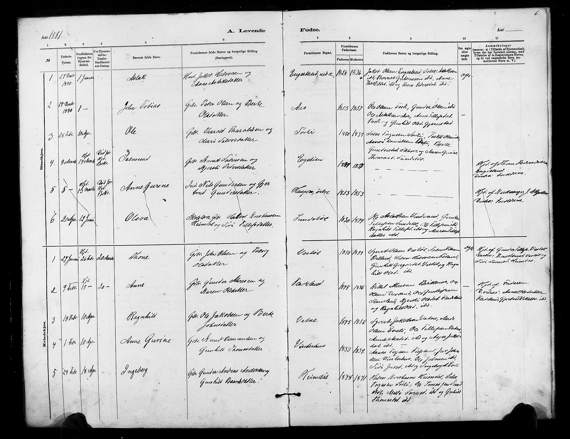 Herefoss sokneprestkontor, SAK/1111-0019/F/Fb/Fbb/L0002: Parish register (copy) no. B 2, 1879-1894, p. 6