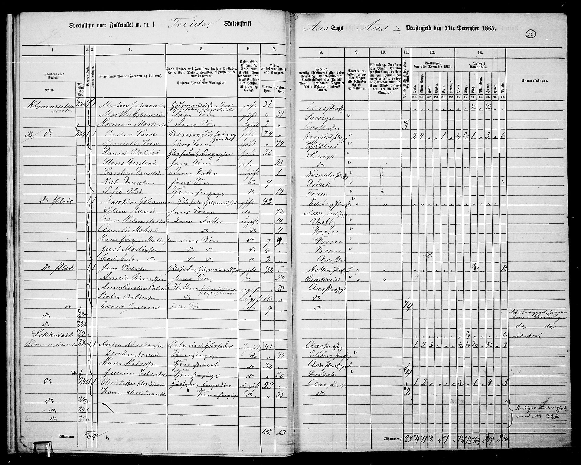 RA, 1865 census for Ås, 1865, p. 13