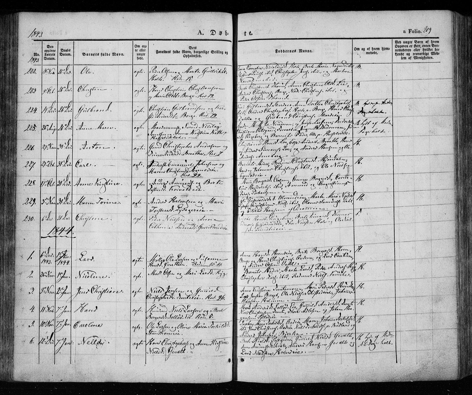 Eiker kirkebøker, SAKO/A-4/F/Fa/L0013a: Parish register (official) no. I 13A, 1832-1845, p. 209