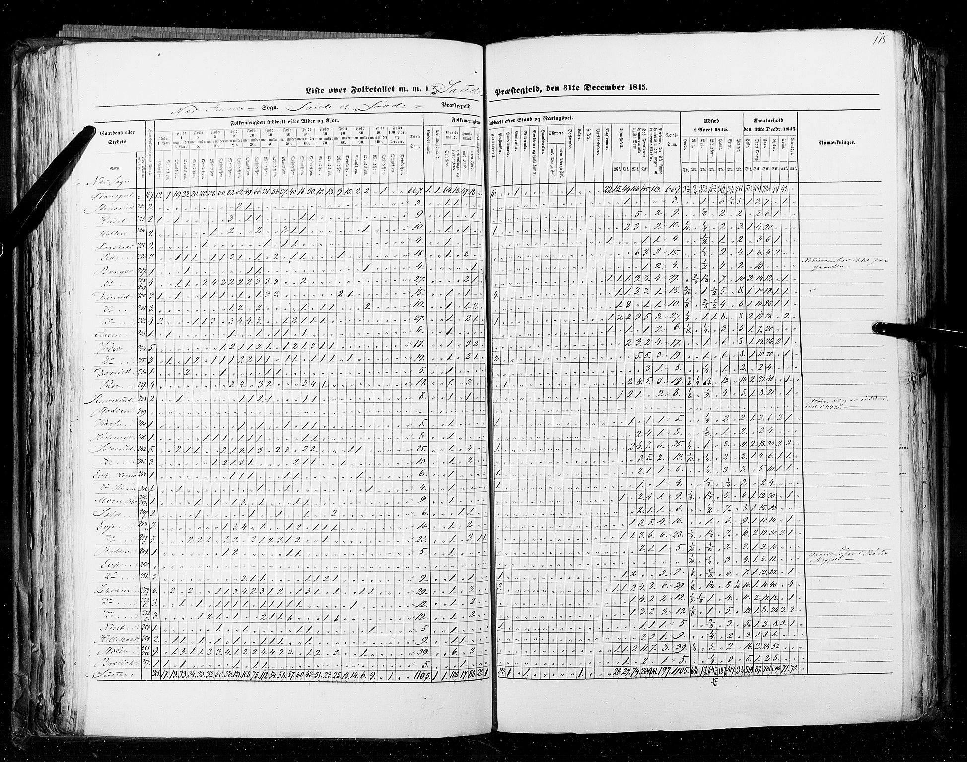 RA, Census 1845, vol. 5: Bratsberg amt og Nedenes og Råbyggelaget amt, 1845, p. 115