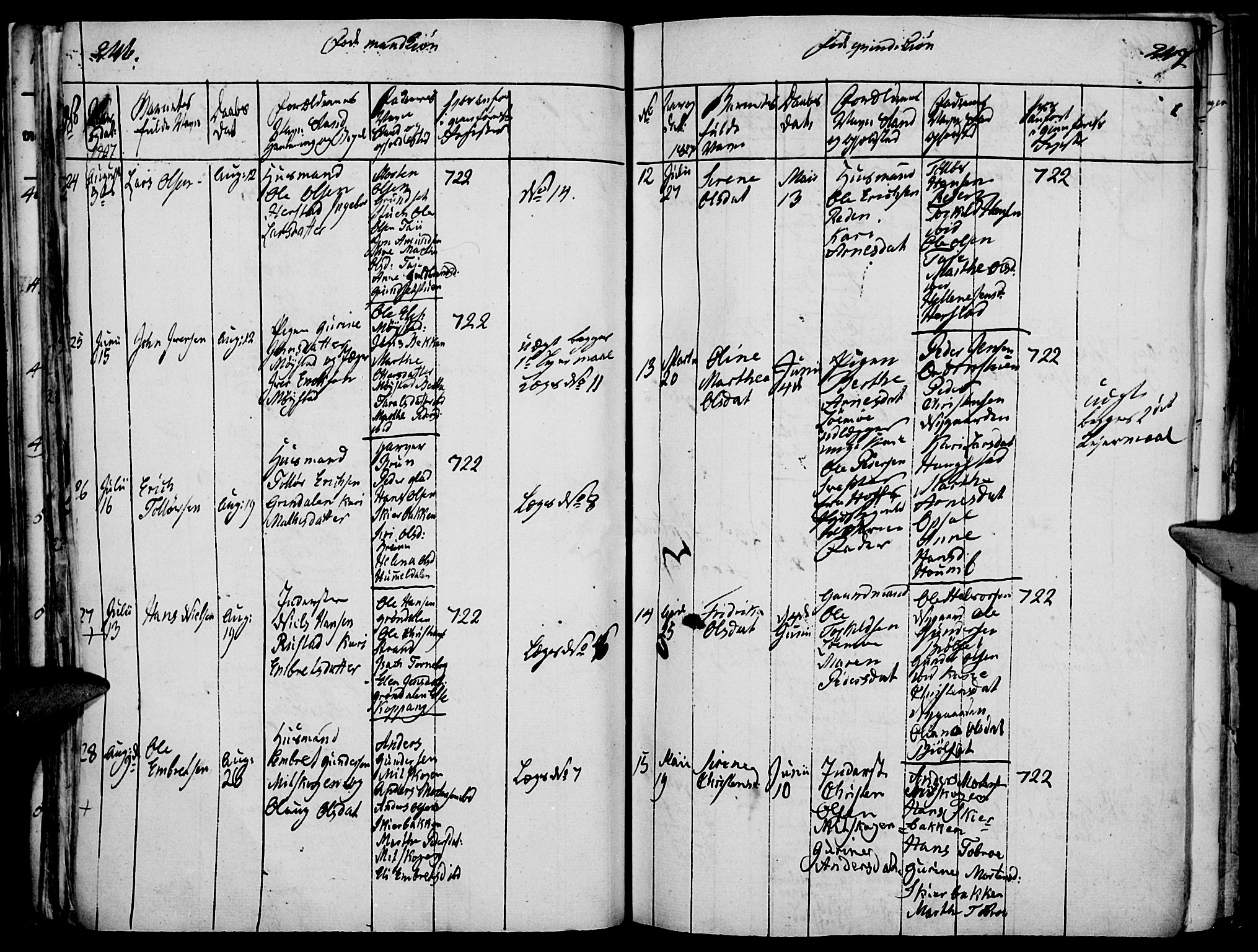 Elverum prestekontor, SAH/PREST-044/H/Ha/Haa/L0007: Parish register (official) no. 7, 1815-1830, p. 246-247