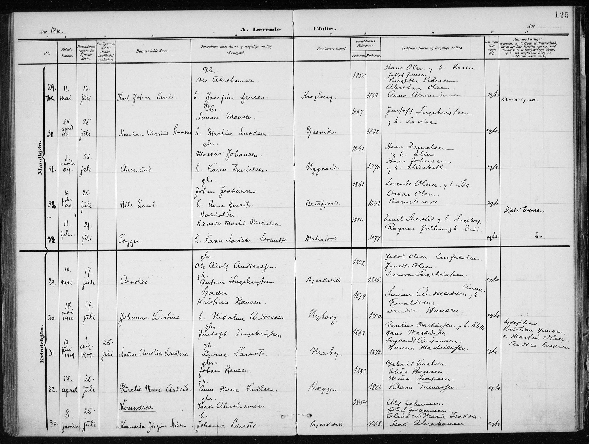 Ministerialprotokoller, klokkerbøker og fødselsregistre - Nordland, AV/SAT-A-1459/866/L0941: Parish register (official) no. 866A04, 1901-1917, p. 125