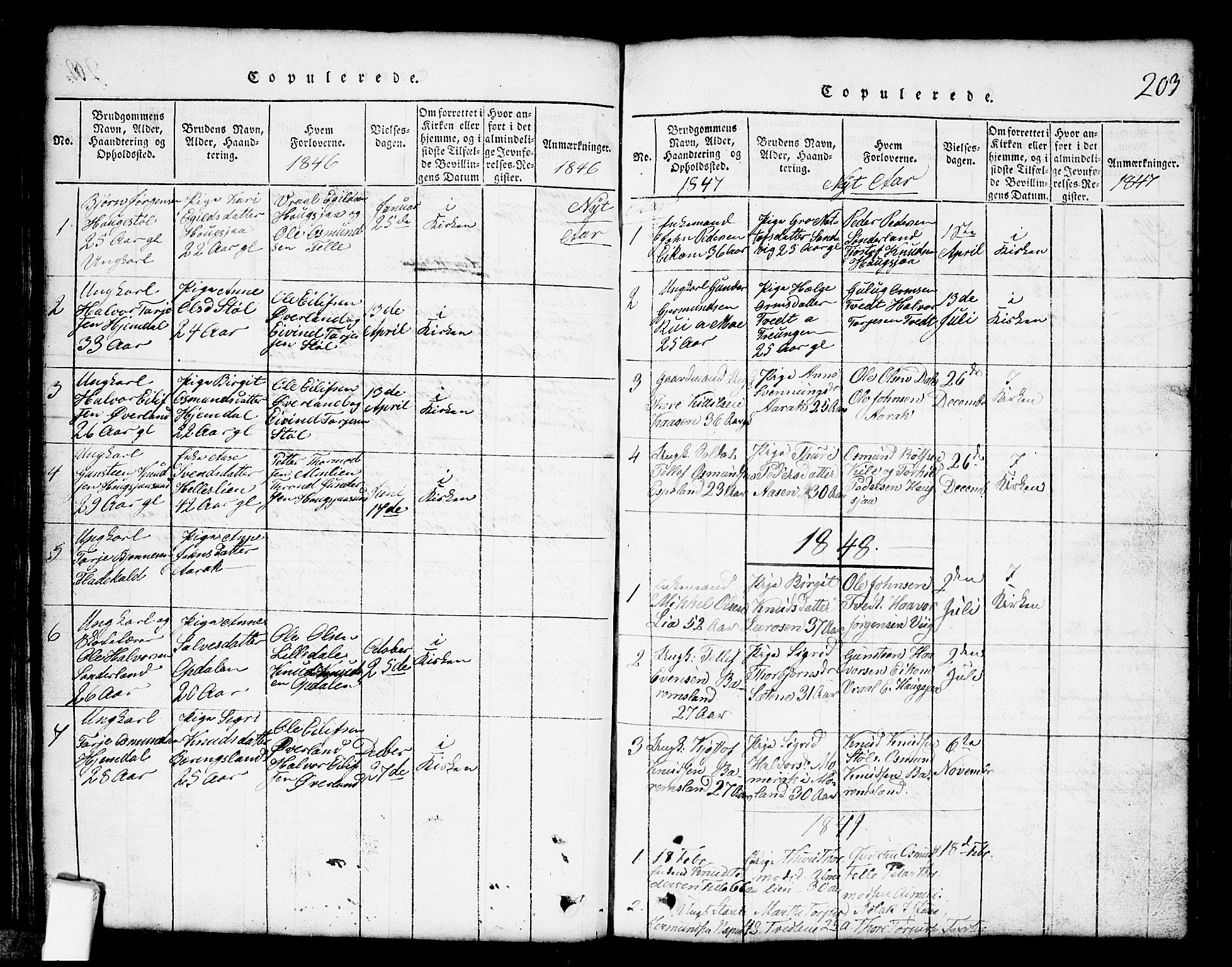 Nissedal kirkebøker, SAKO/A-288/G/Gb/L0001: Parish register (copy) no. II 1, 1814-1862, p. 203