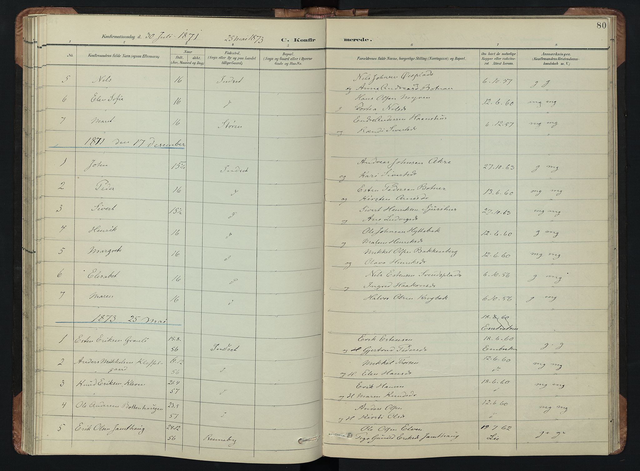 Kvikne prestekontor, SAH/PREST-064/H/Ha/Hab/L0002: Parish register (copy) no. 2, 1859-1901, p. 80