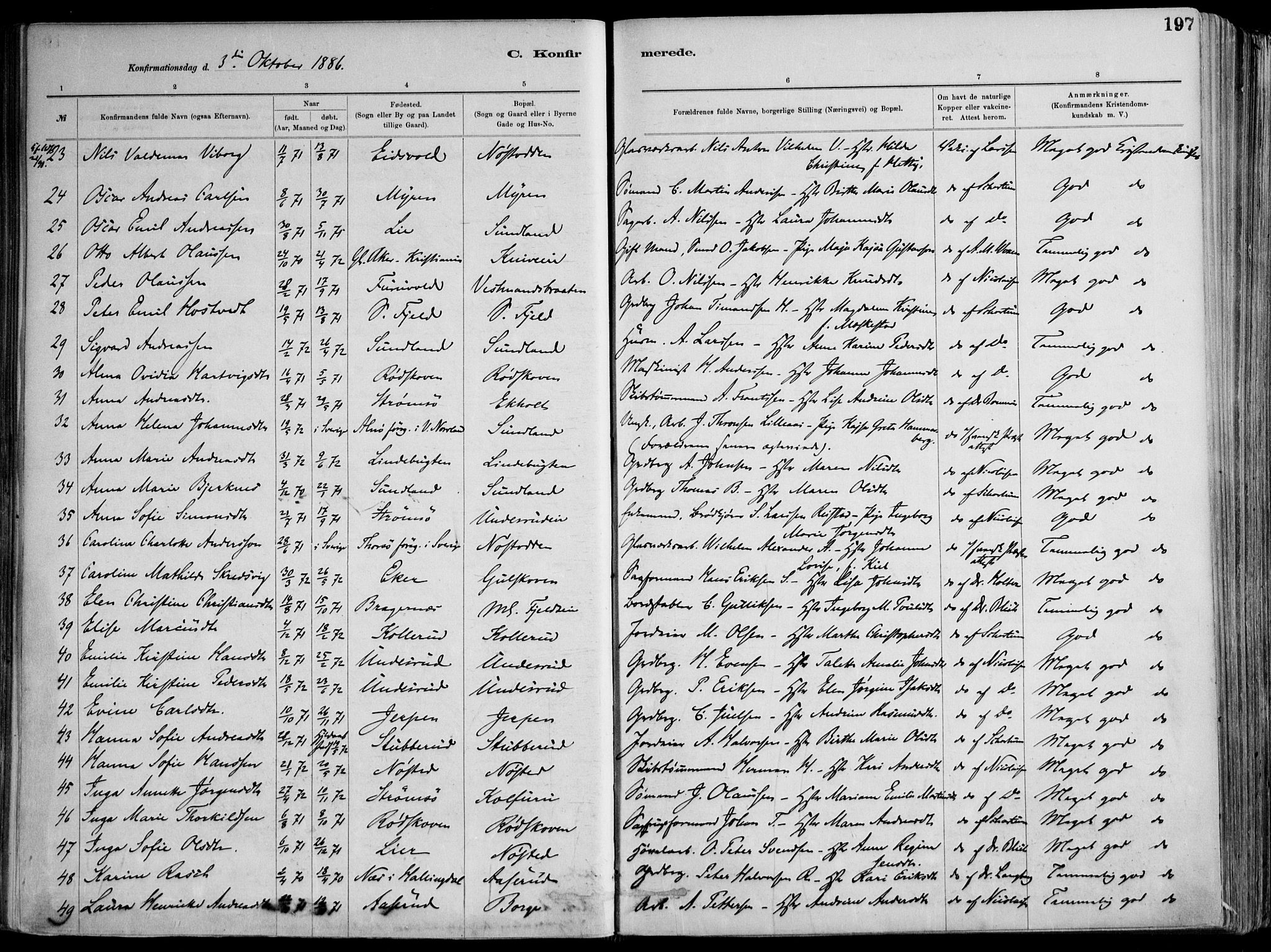 Skoger kirkebøker, AV/SAKO-A-59/F/Fa/L0006: Parish register (official) no. I 6, 1885-1910, p. 197