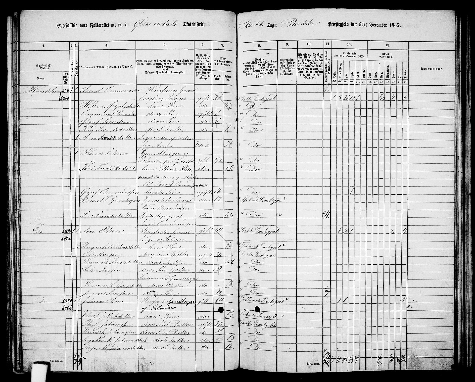 RA, 1865 census for Bakke, 1865, p. 69