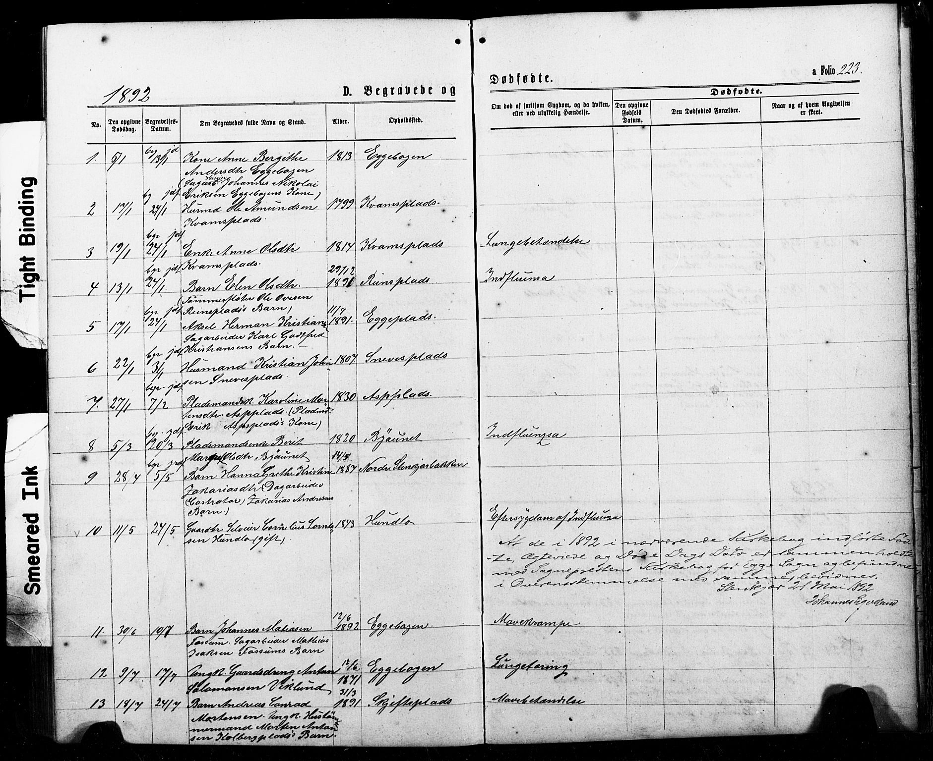 Ministerialprotokoller, klokkerbøker og fødselsregistre - Nord-Trøndelag, SAT/A-1458/740/L0380: Parish register (copy) no. 740C01, 1868-1902, p. 223