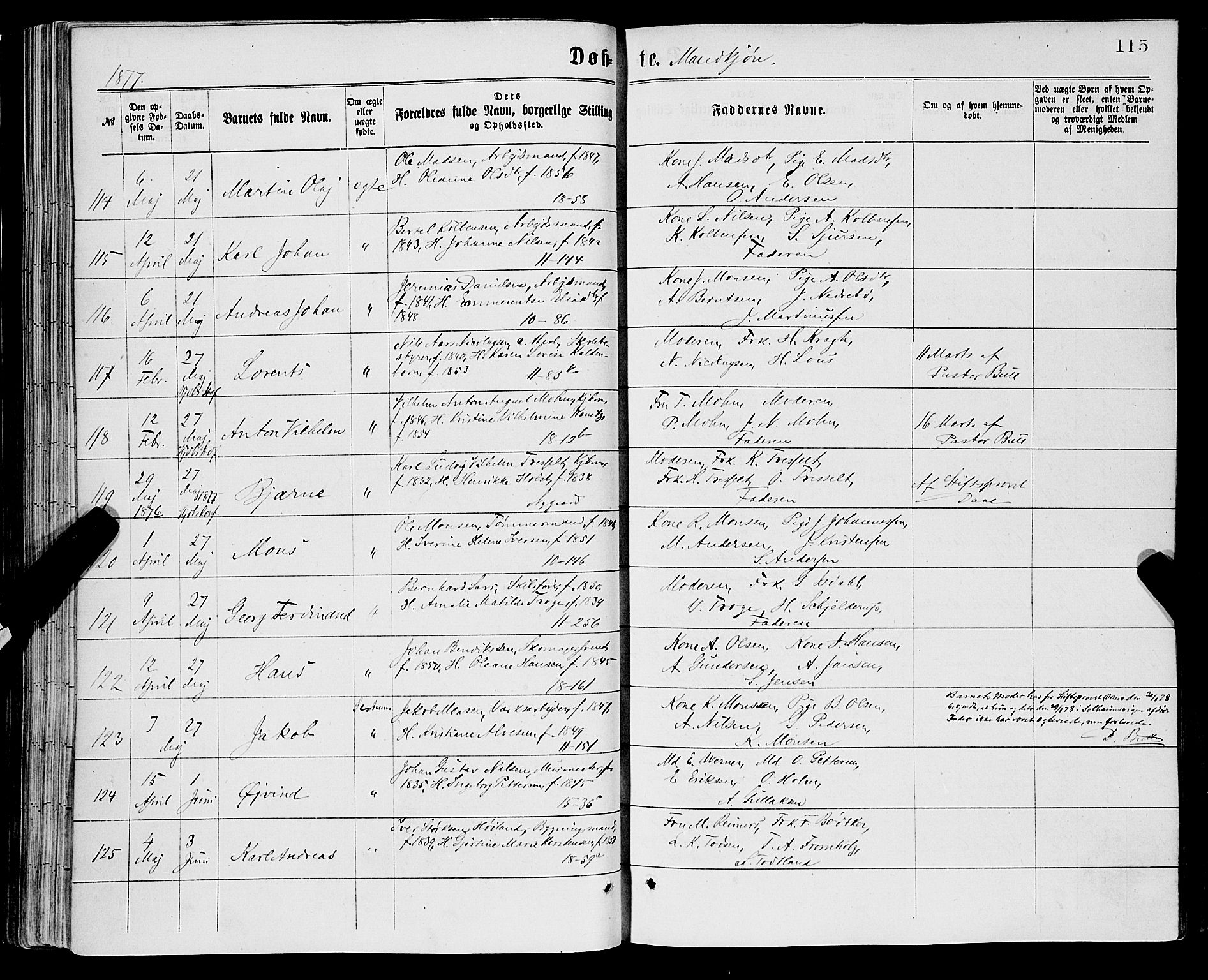 Domkirken sokneprestembete, SAB/A-74801/H/Haa/L0022: Parish register (official) no. B 5, 1872-1878, p. 115