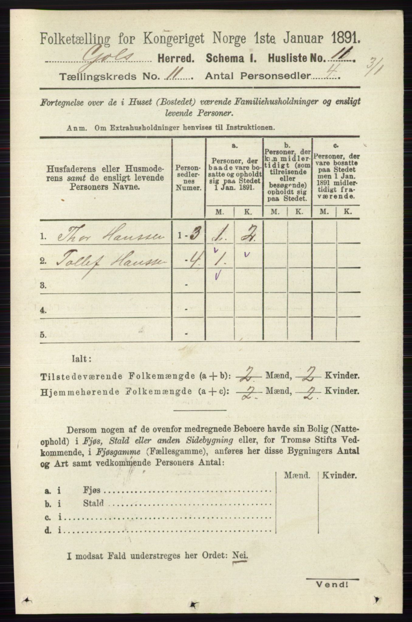 RA, 1891 census for 0617 Gol og Hemsedal, 1891, p. 4292